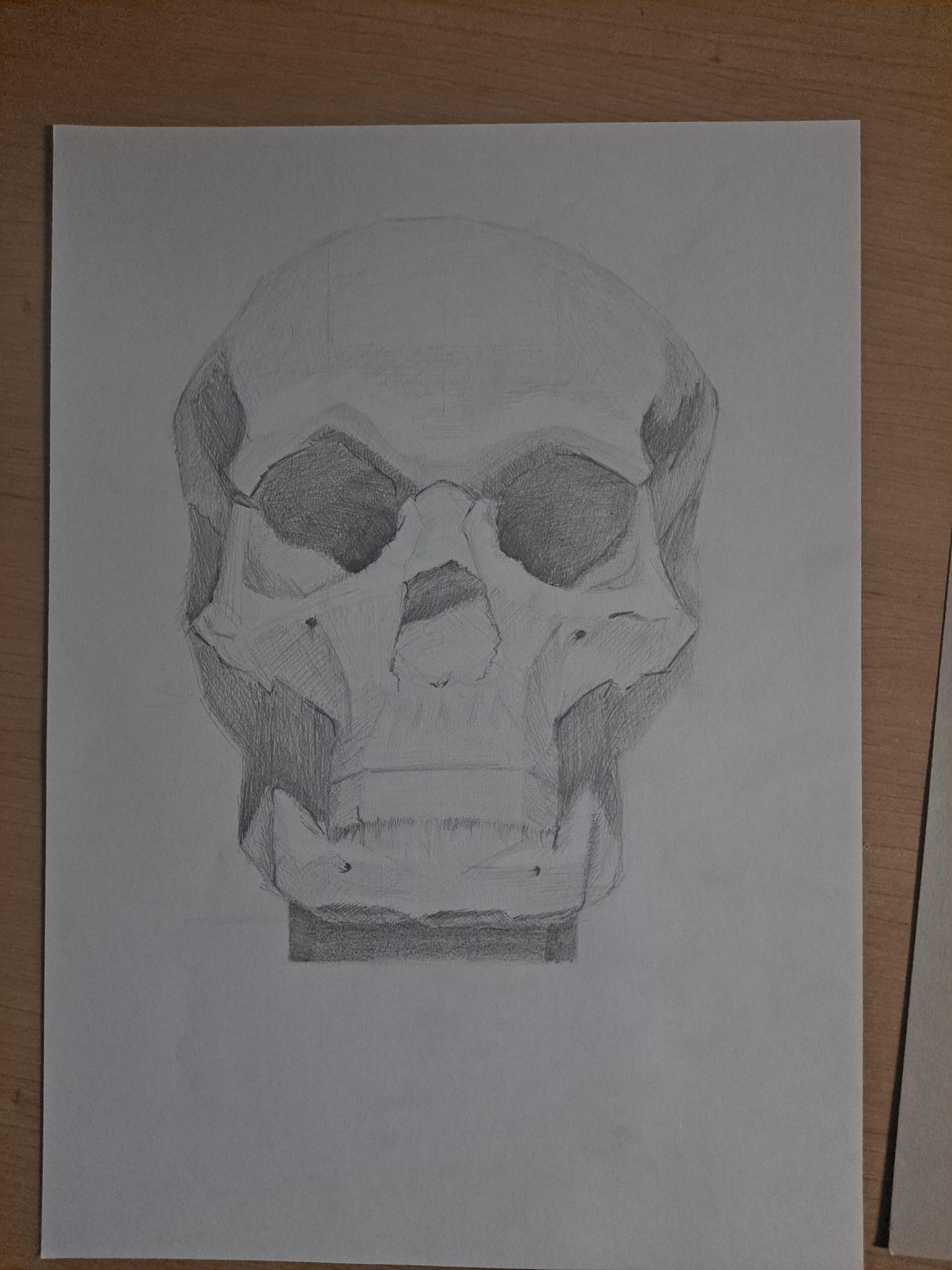 Skulls - image 1 - student project