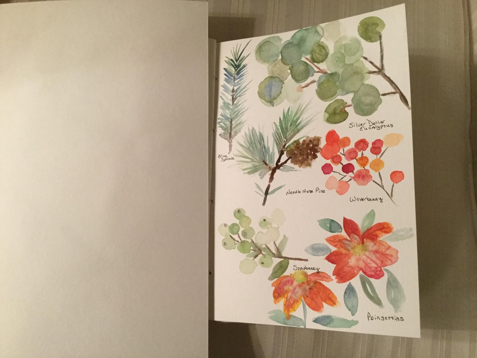 Winter Botanical painting practice - image 1 - student project