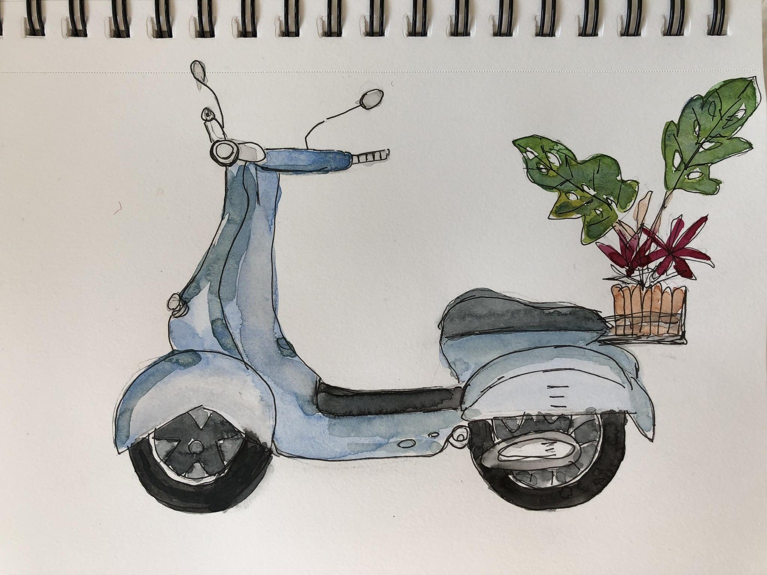 Scooter + Plant delivery = Fun times - image 1 - student project