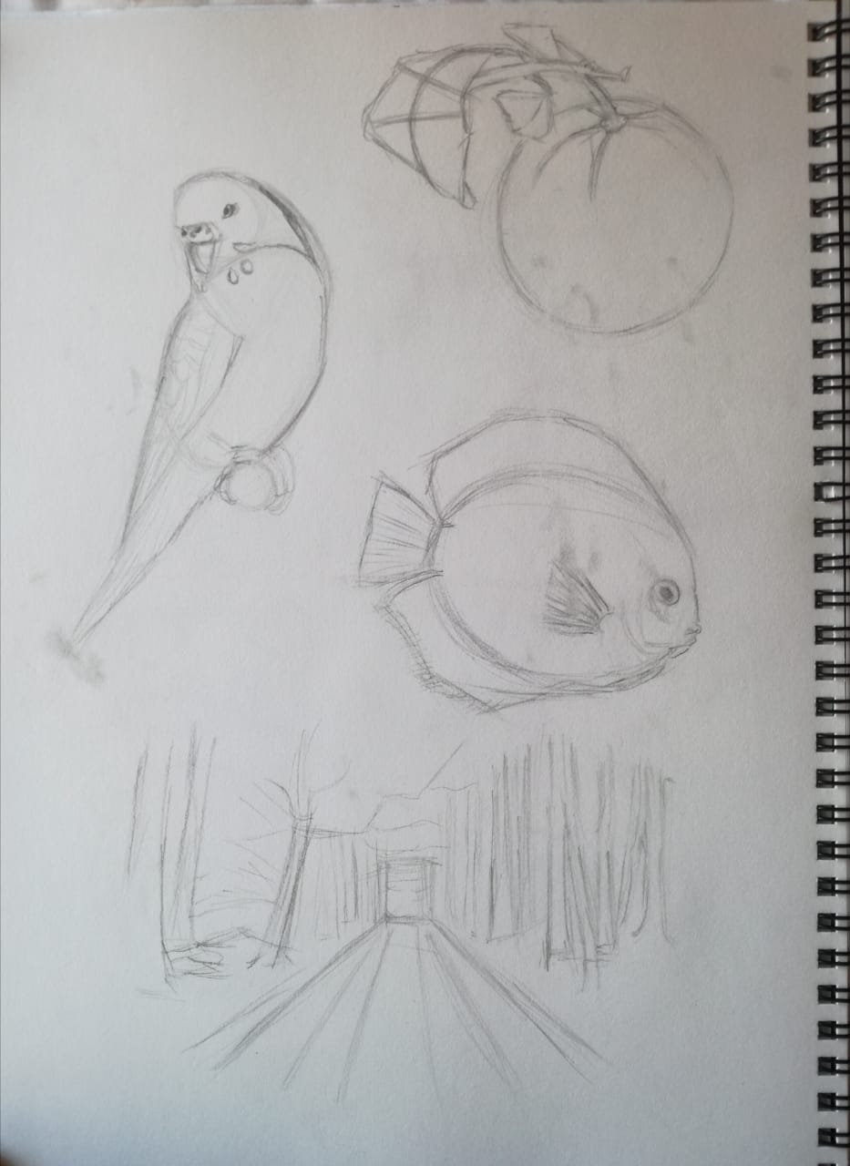 Basic Drawing Skills - image 15 - student project