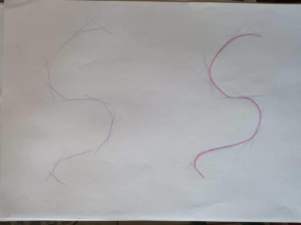 Basic Drawing Skills - image 10 - student project
