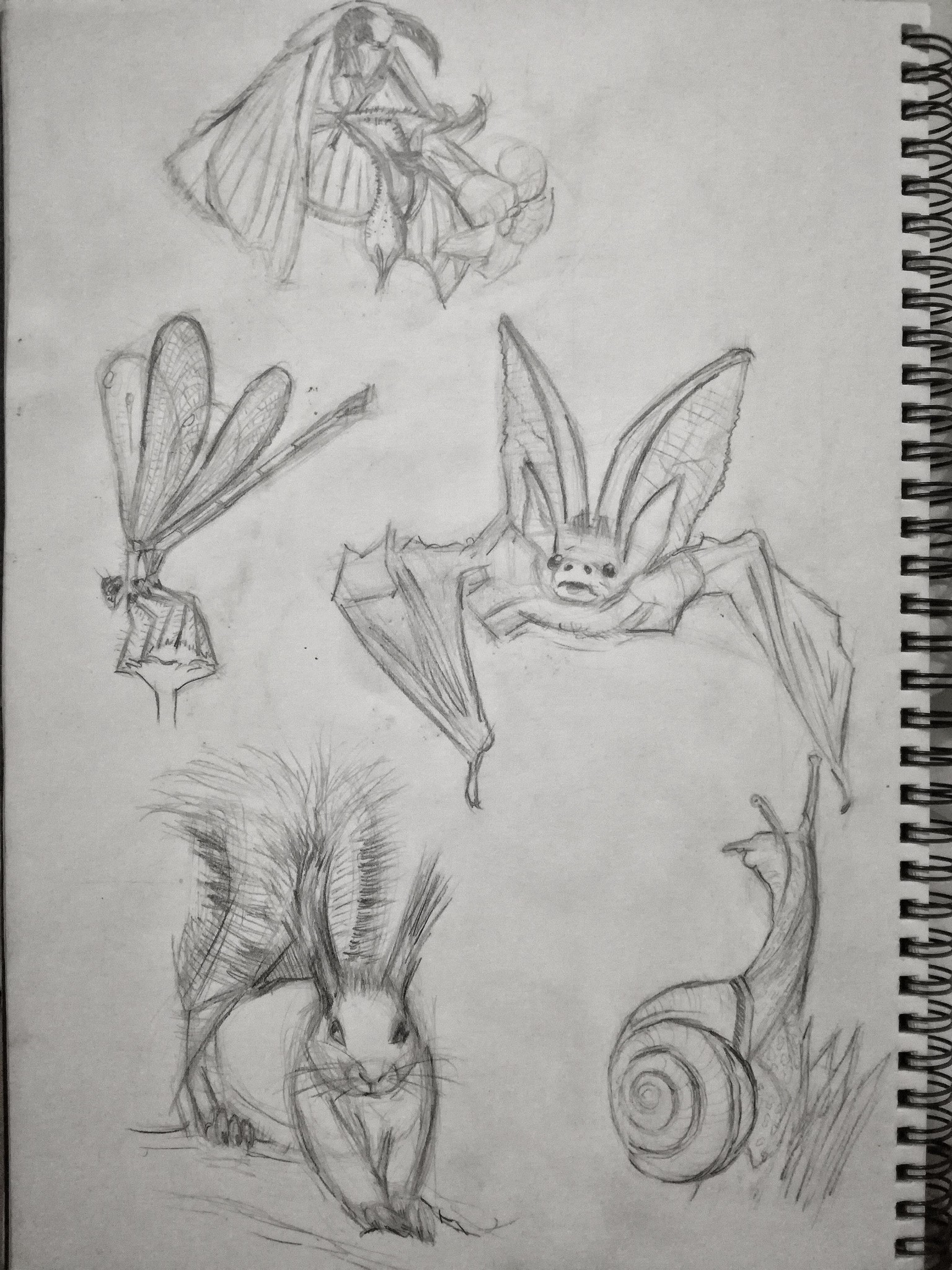 Basic Drawing Skills - image 20 - student project