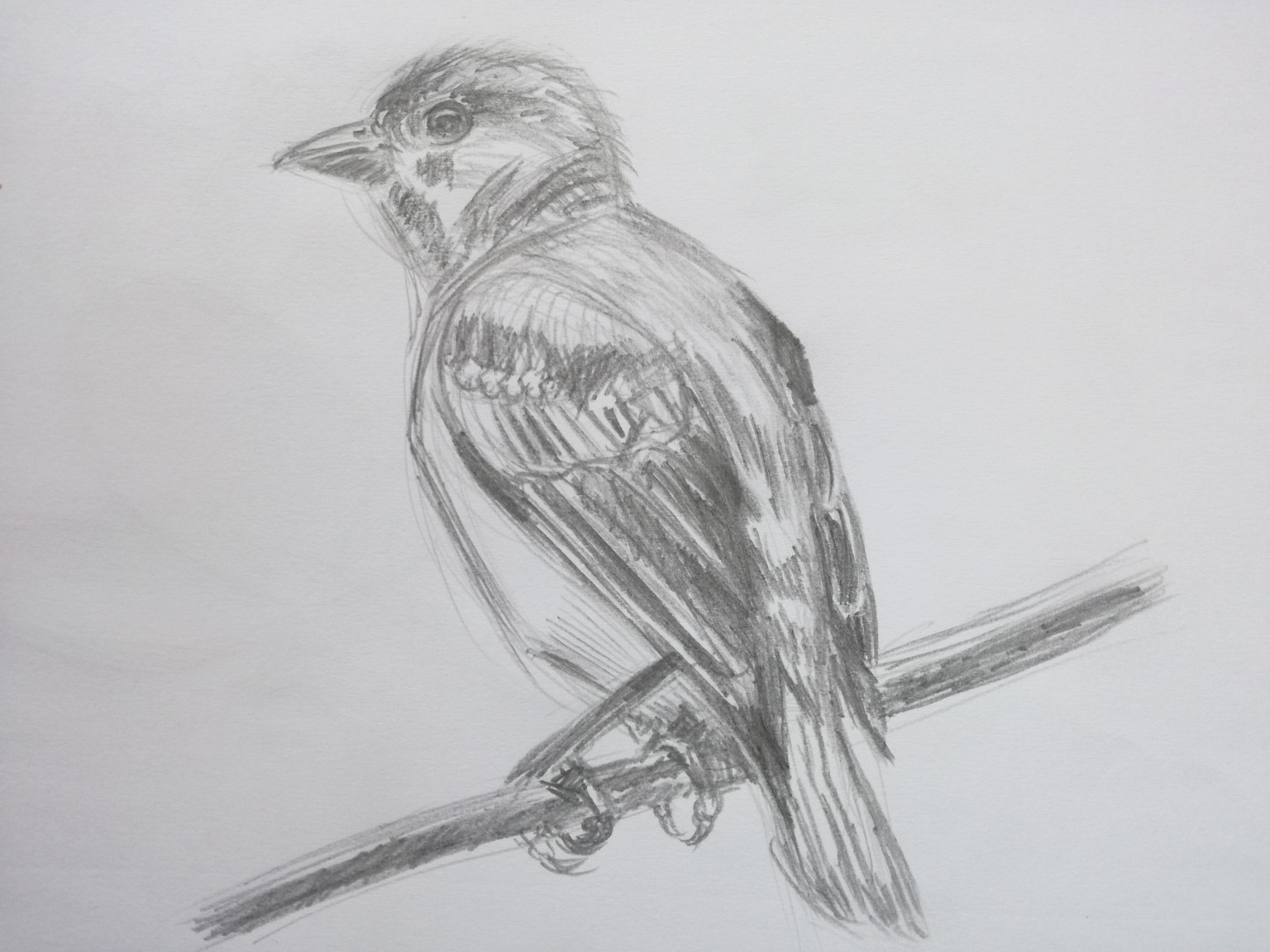 Class projects - image 7 - student project