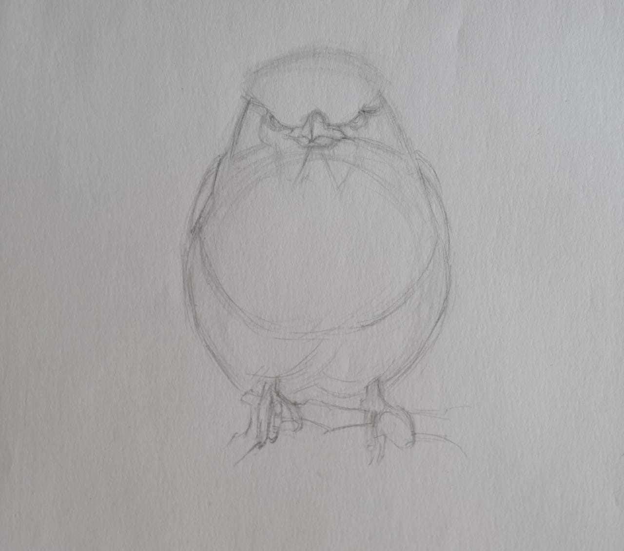 Basic Drawing Skills - image 18 - student project