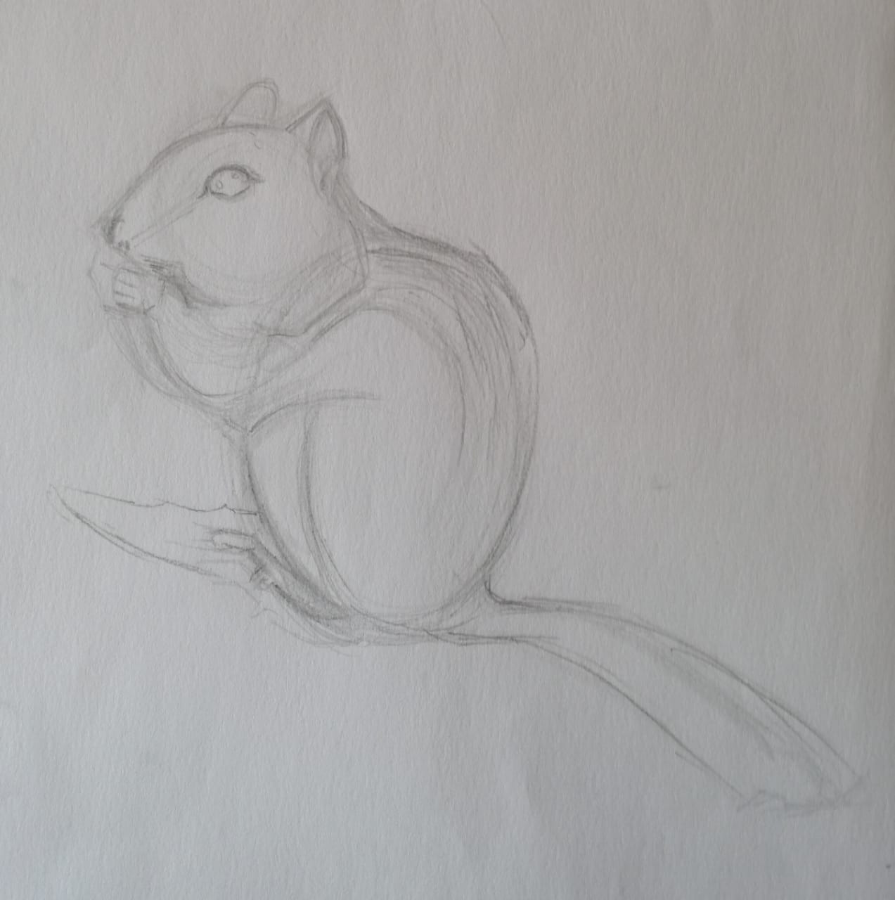 Basic Drawing Skills - image 16 - student project