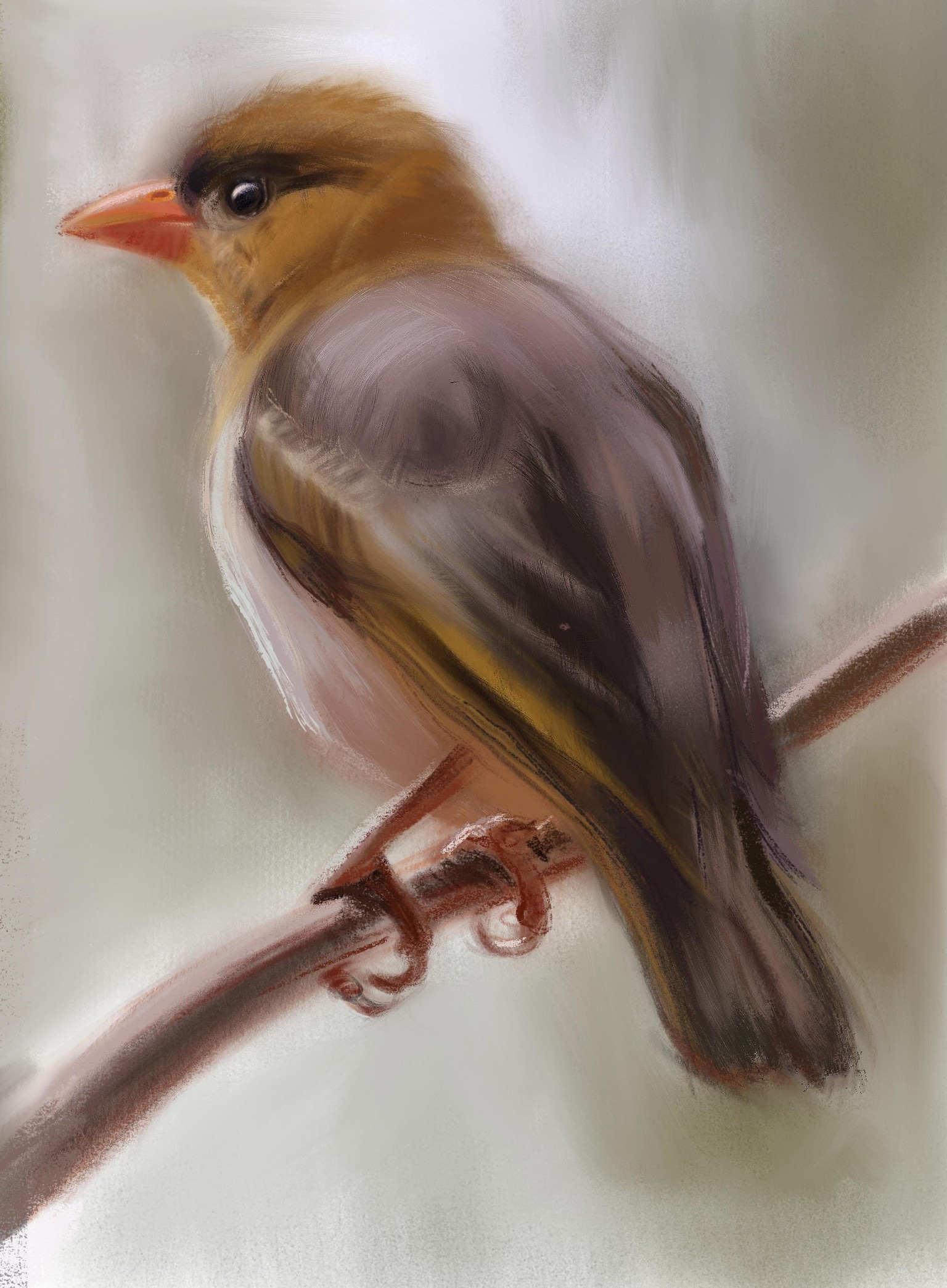 Procreate project - image 5 - student project