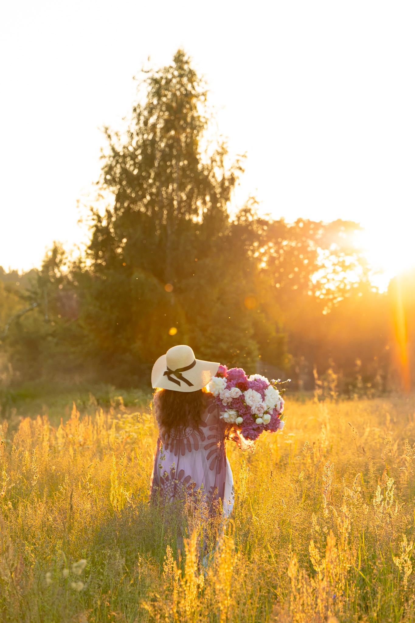 golden hour walk in the meadow - image 1 - student project