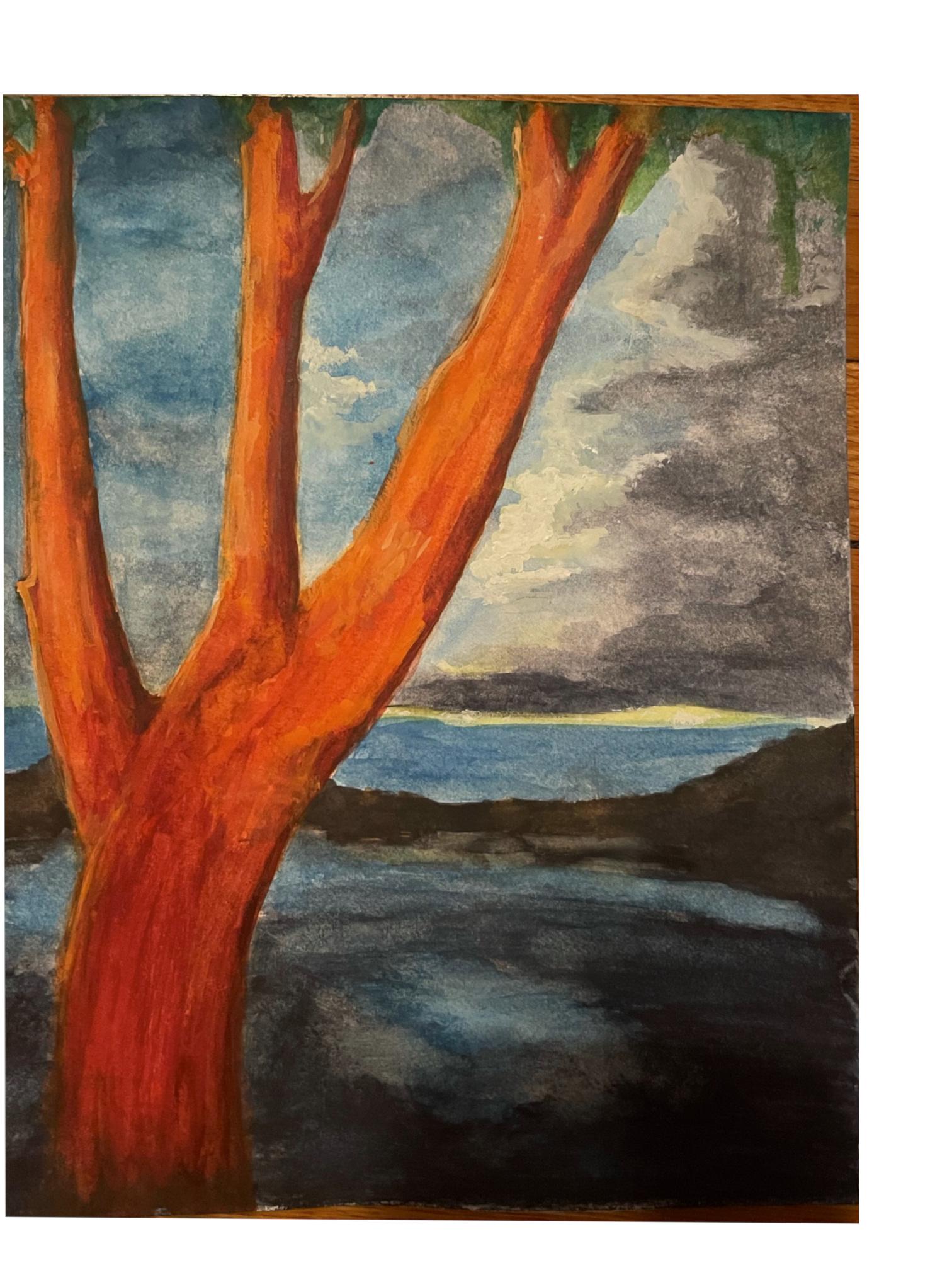 Orange Tree - image 1 - student project