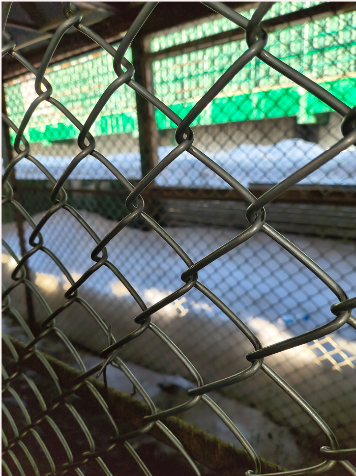 I photographed while I explored! - image 4 - student project