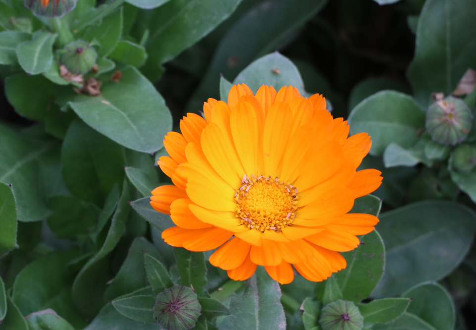 I photographed while I explored! - image 2 - student project