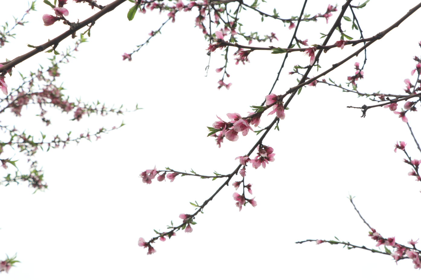 I photographed while I explored! - image 3 - student project