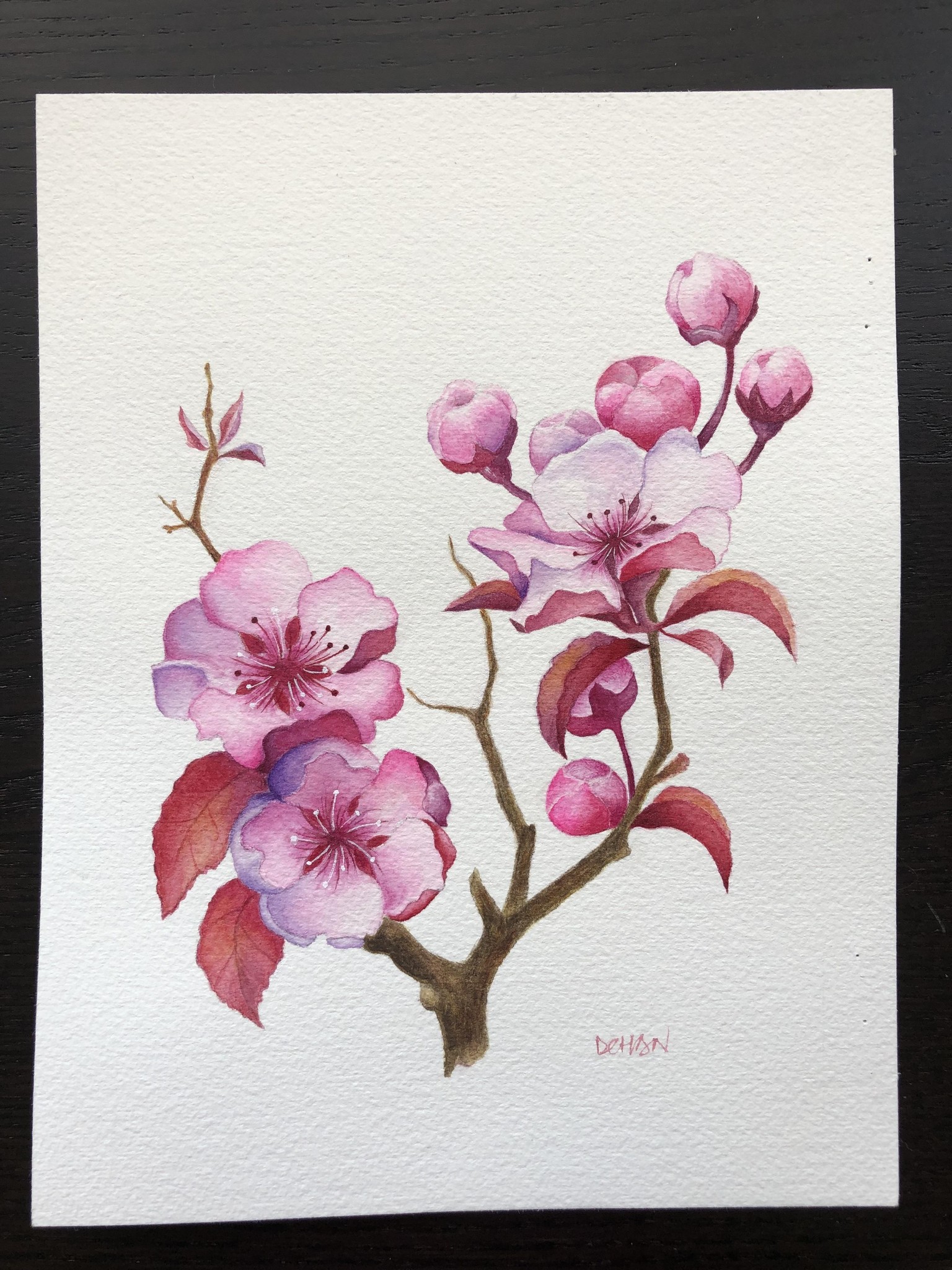 small cherry blossom - image 1 - student project