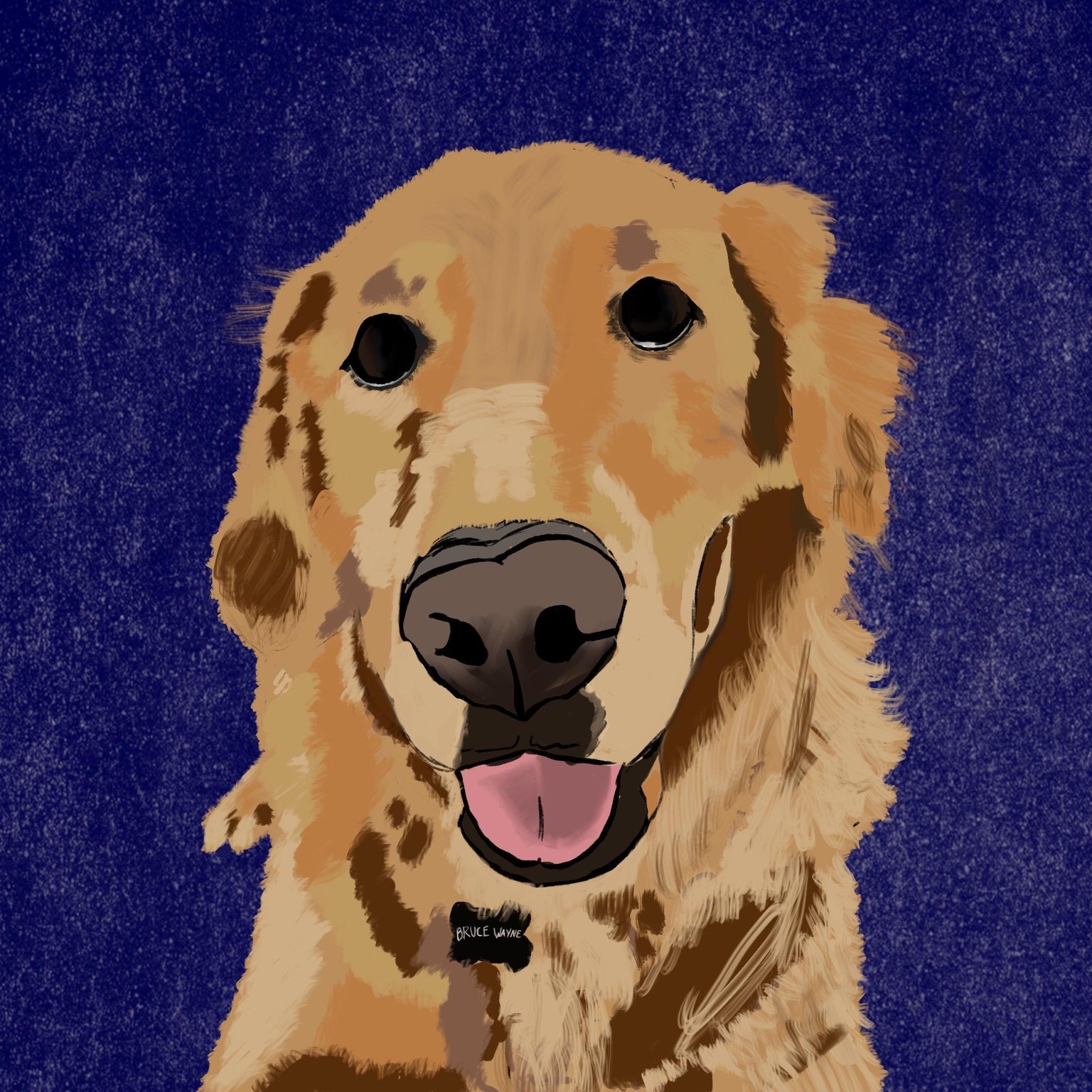 Goldy - image 1 - student project