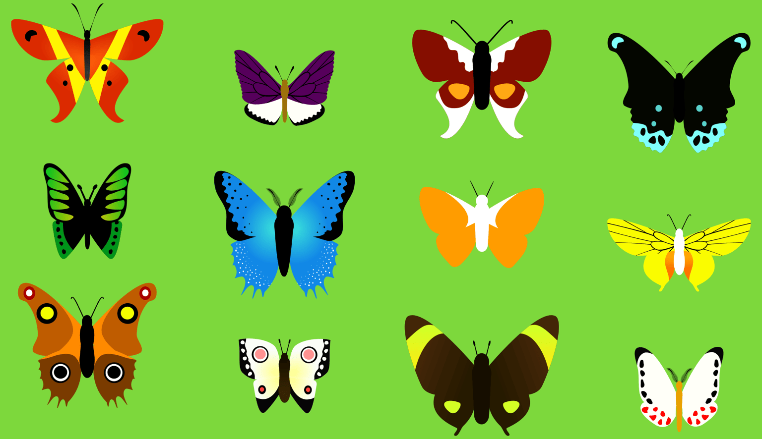 Butterfly collection - image 2 - student project