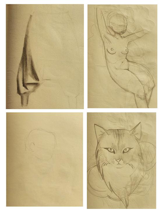 fedecattadraws before and after - image 1 - student project
