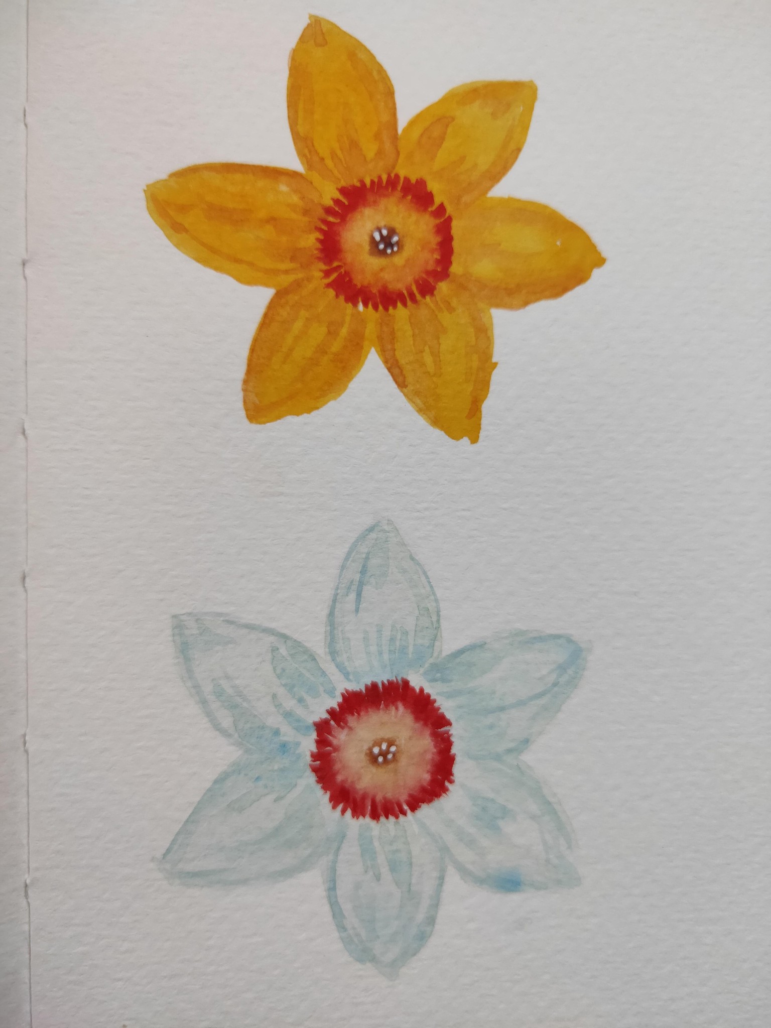 Watercolour Daffodils! - image 3 - student project
