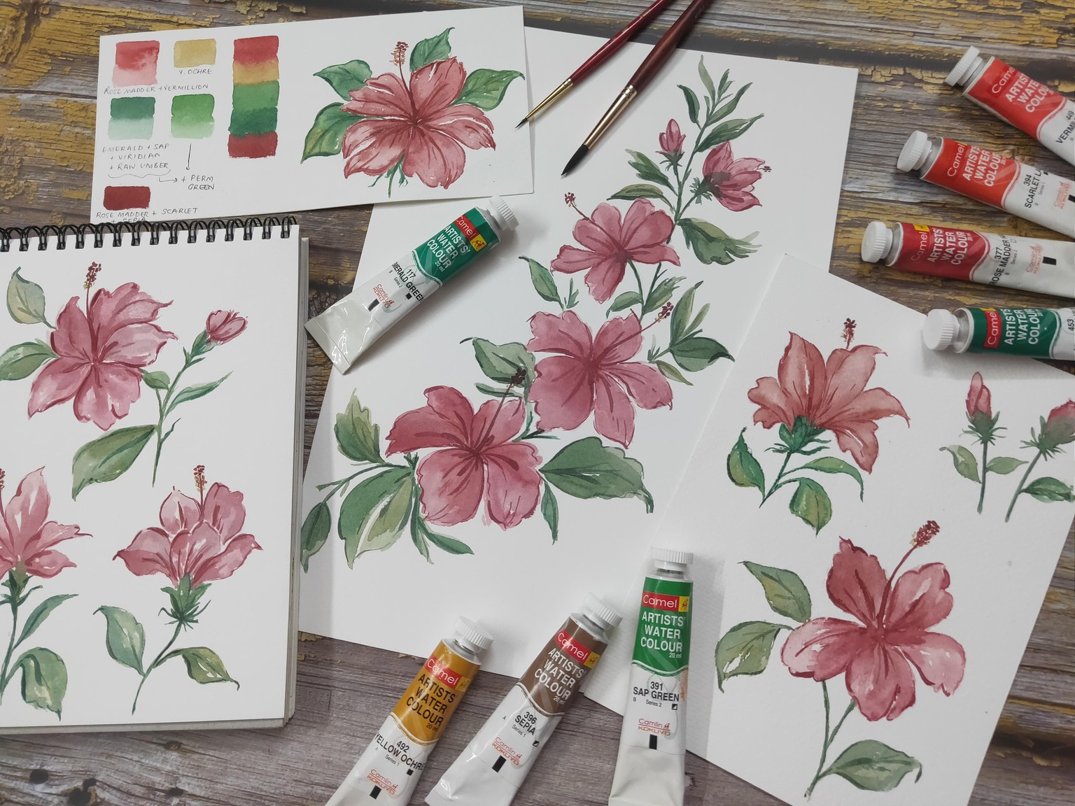 Loose Watercolour Hibiscus - image 1 - student project