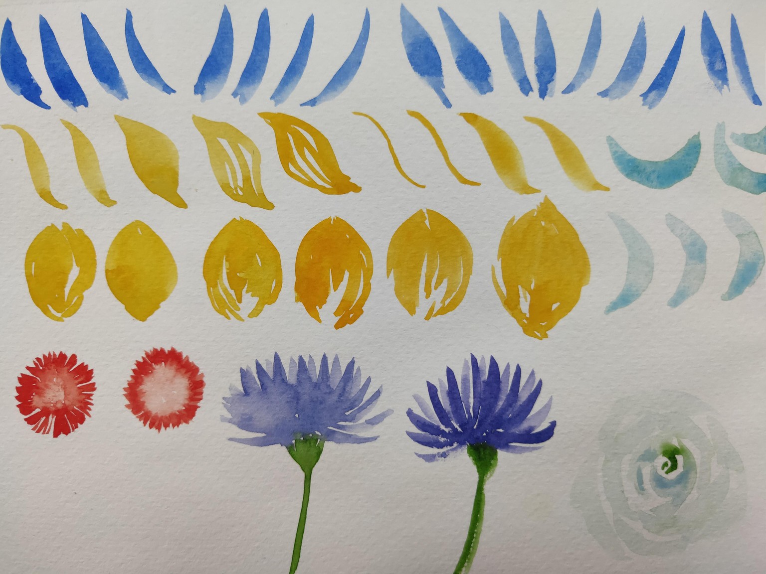 Watercolour Daffodils! - image 1 - student project