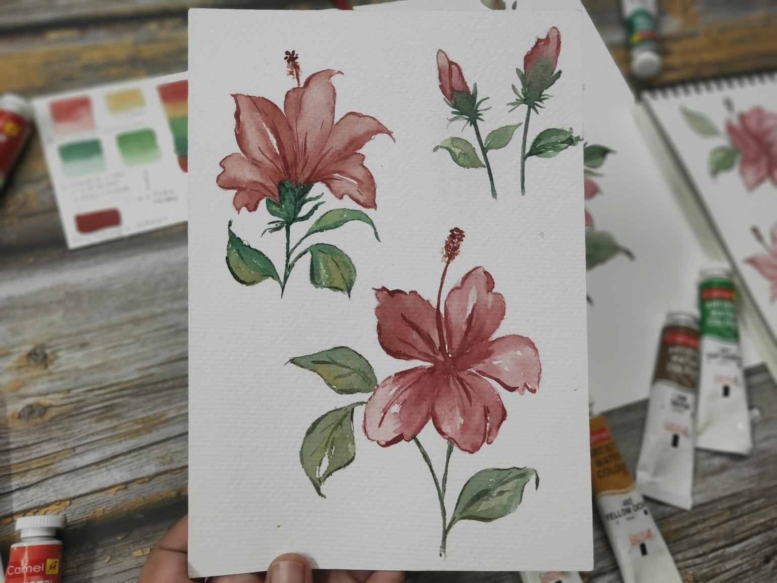 Loose Watercolour Hibiscus - image 3 - student project