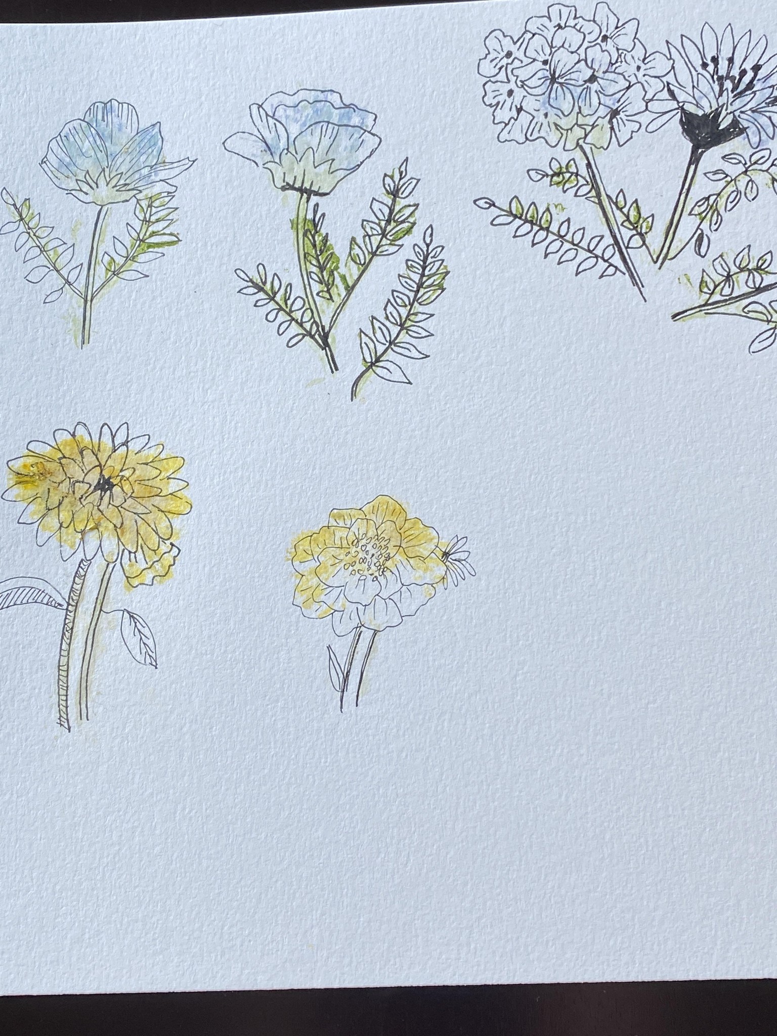 Using Nature's Pigments to Create Florals - image 1 - student project