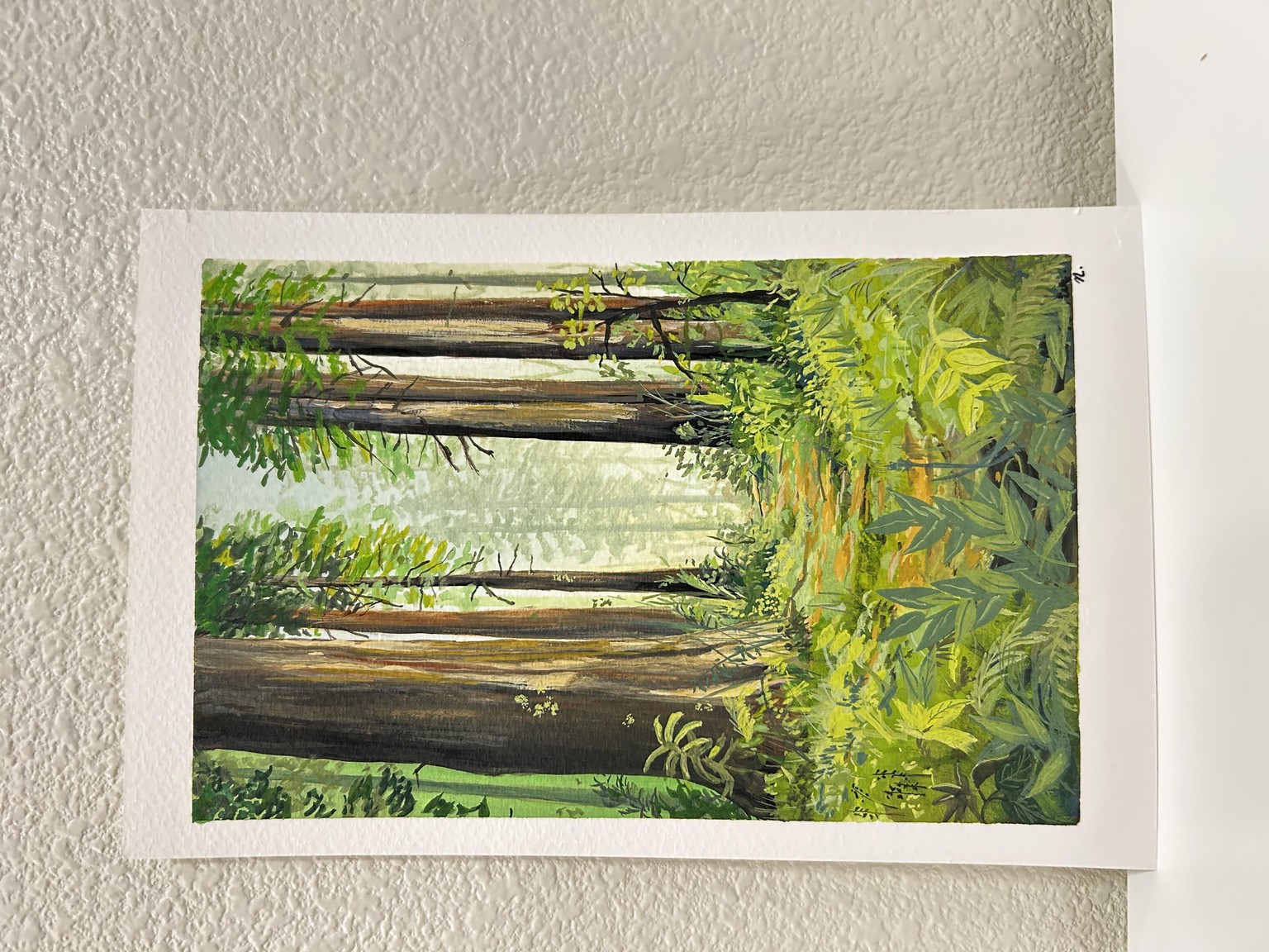 The Redwoods - image 2 - student project