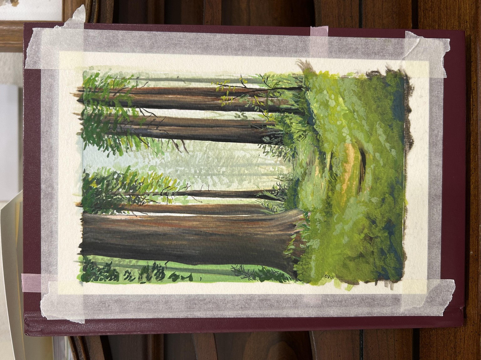 The Redwoods - image 1 - student project
