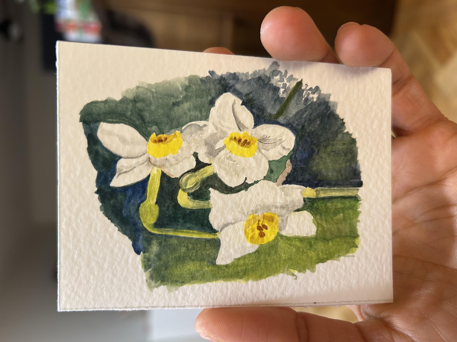 Daffodils in my garden - image 2 - student project