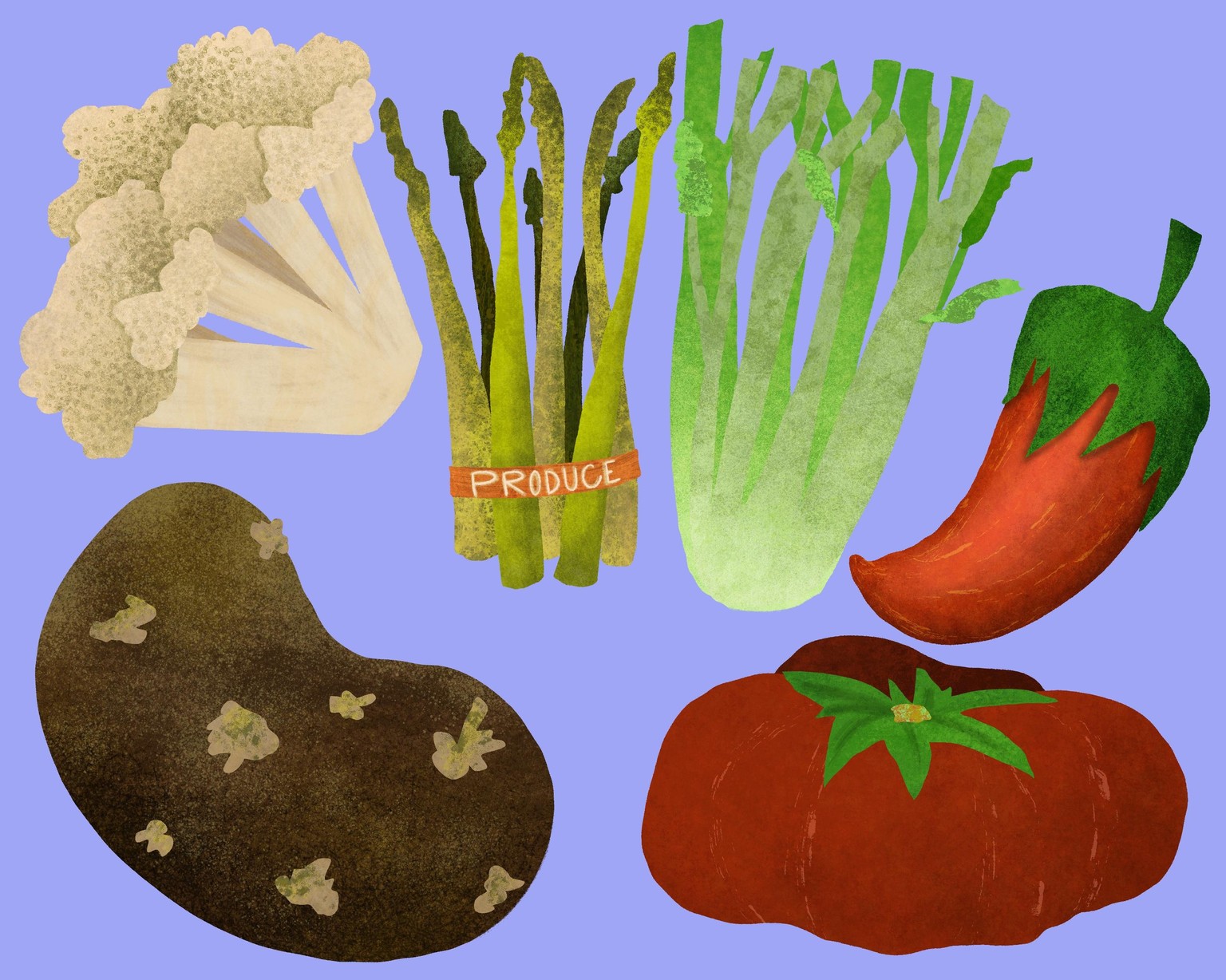Veggies galore! - image 2 - student project