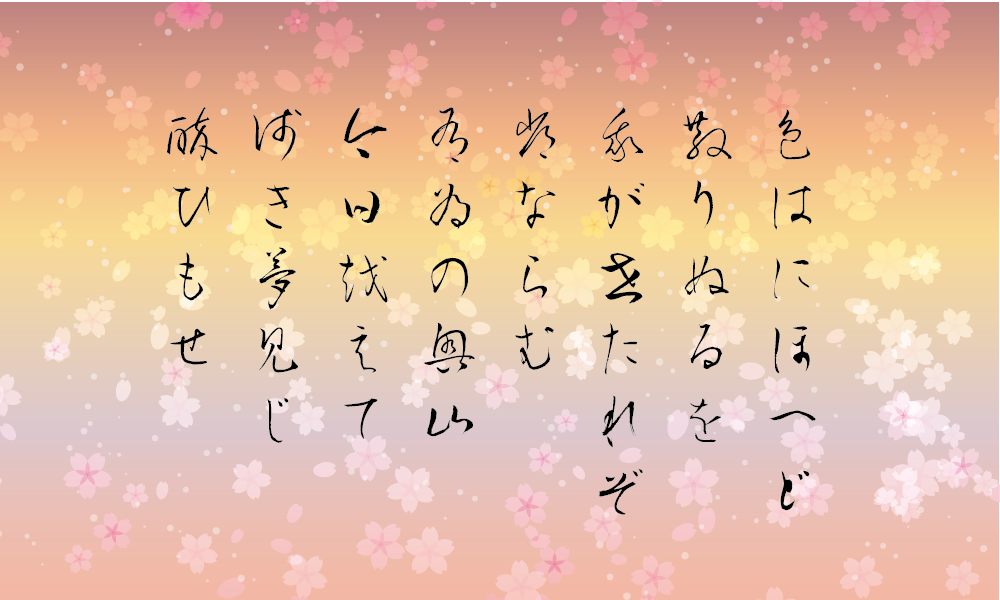 Transparent cherry blossoms - image 7 - student project
