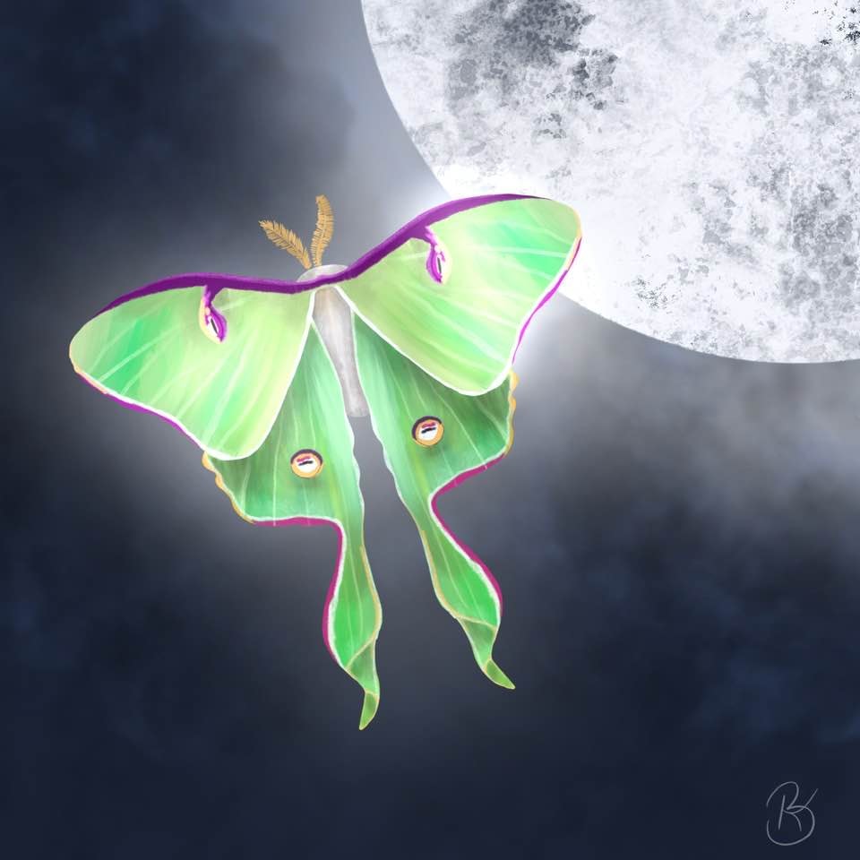 Luna moth - image 1 - student project