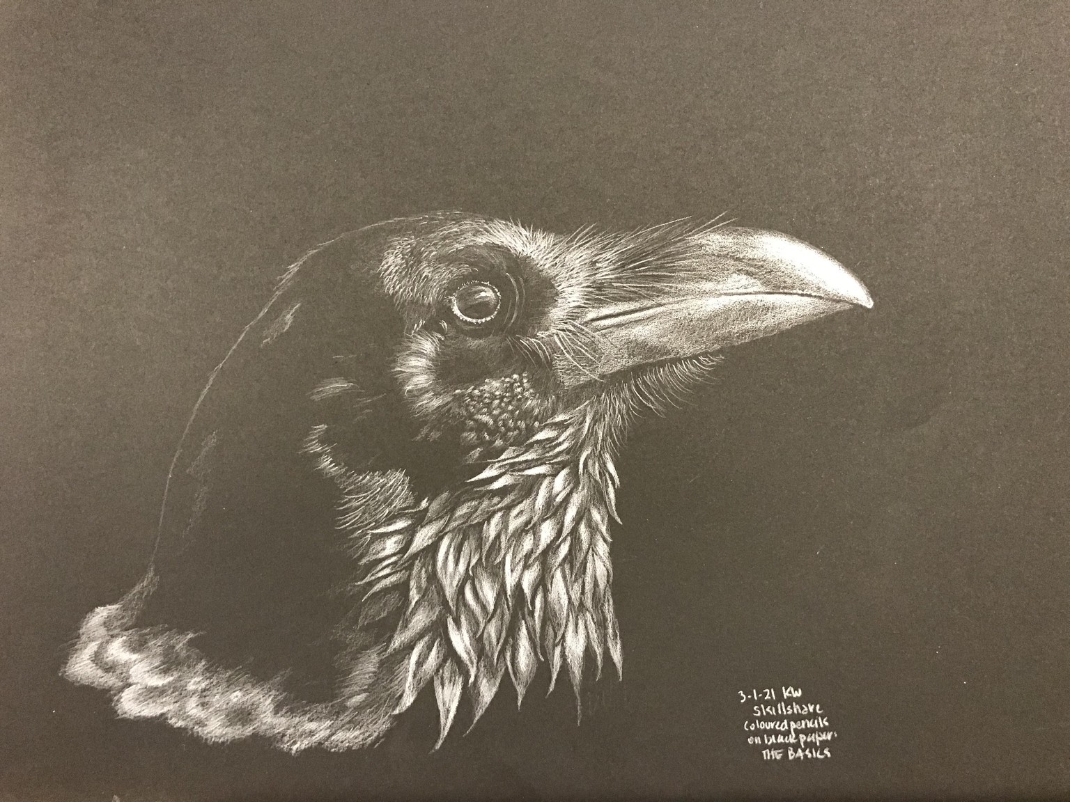 CROW 1 - image 1 - student project