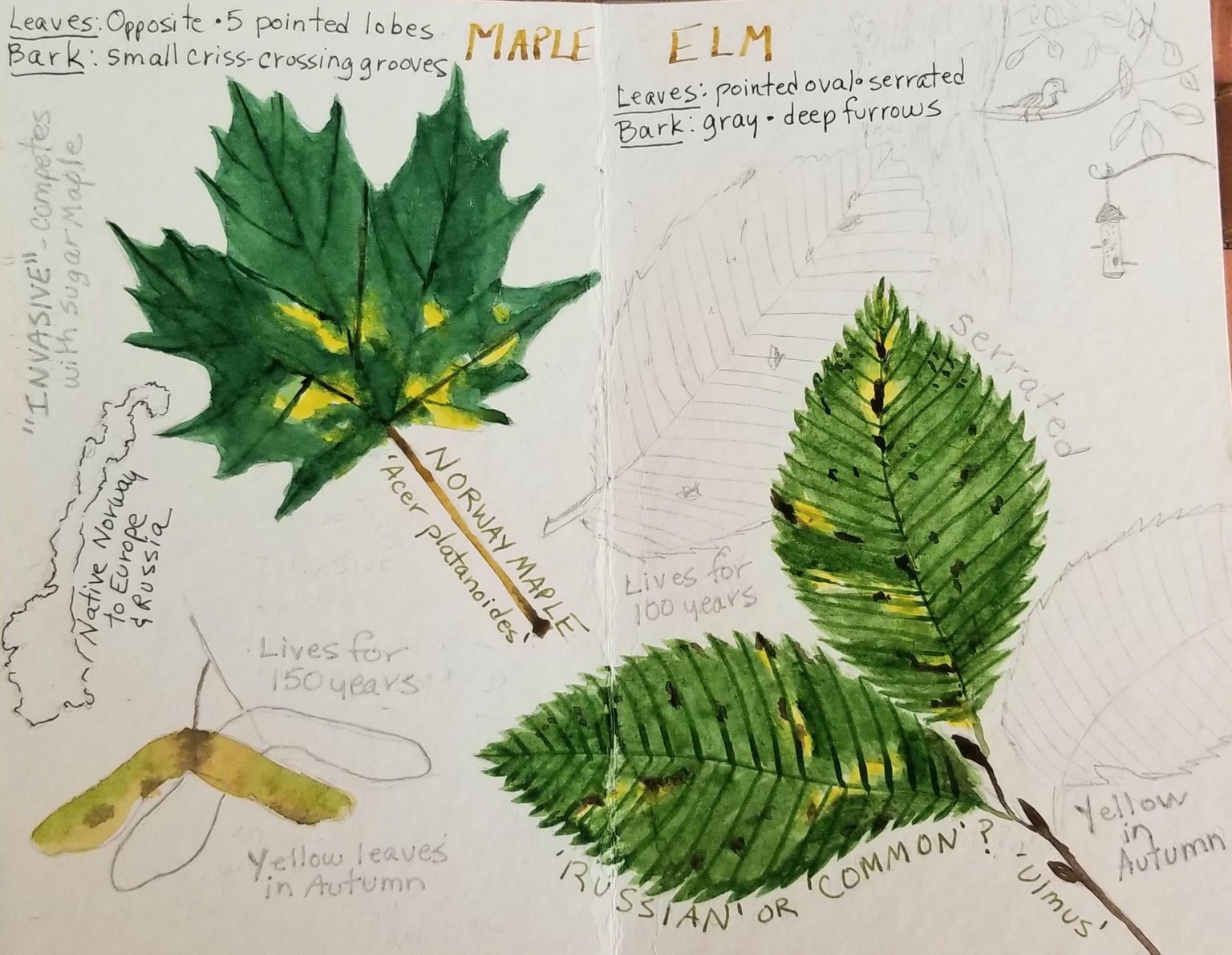 Study Sheets - image 1 - student project