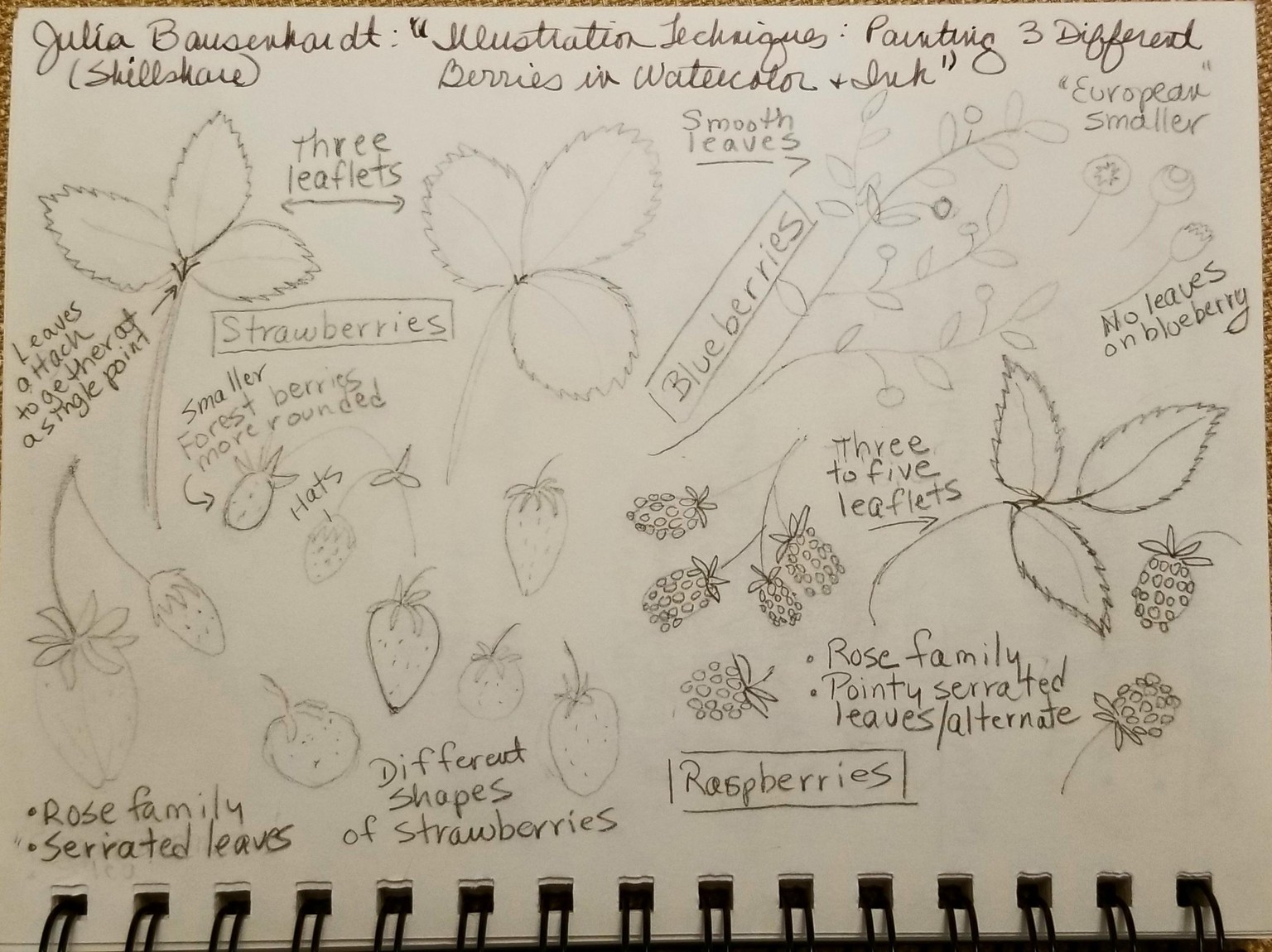 Three Berries - image 2 - student project
