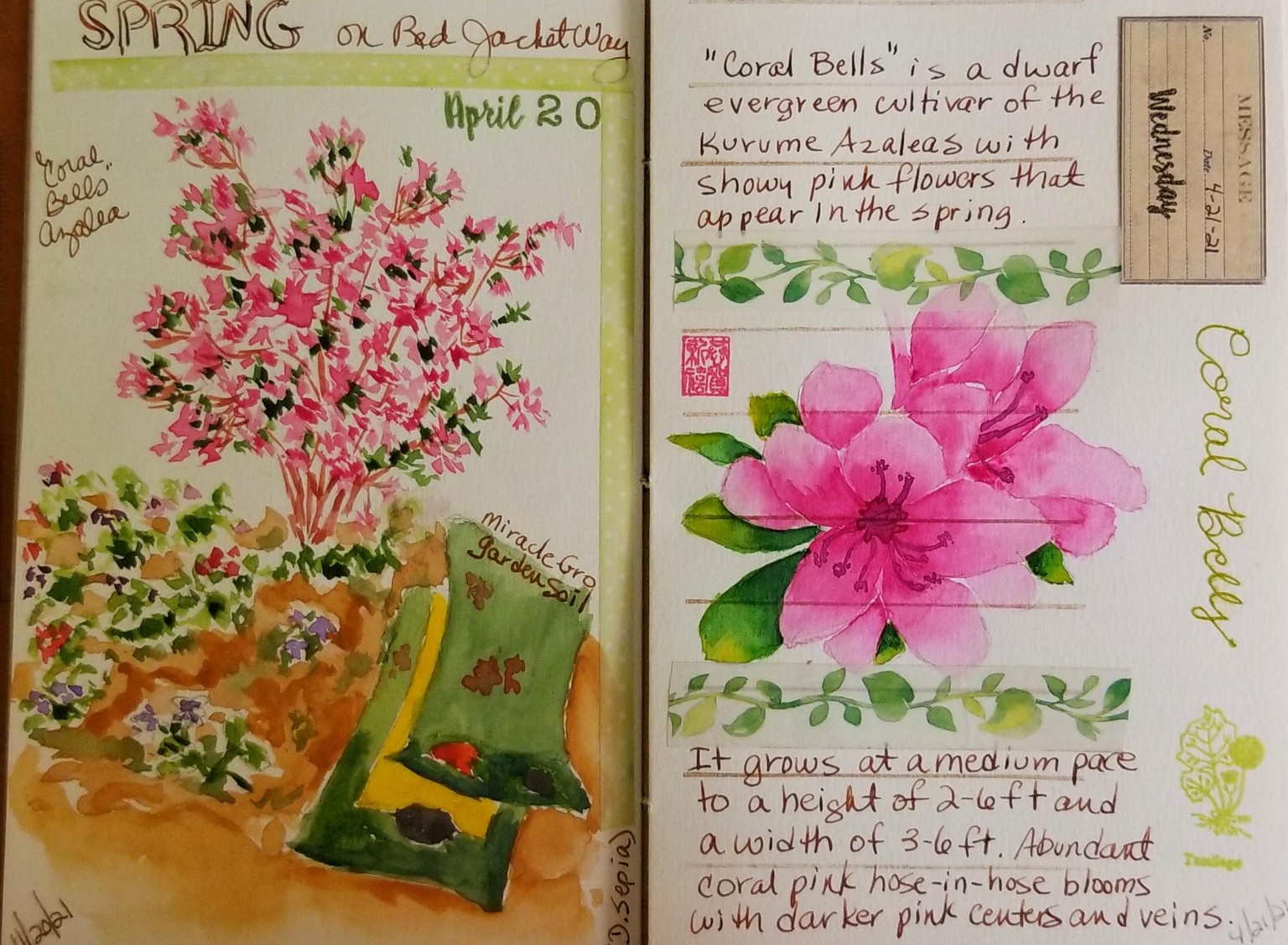 Spring in Our Yard - image 1 - student project