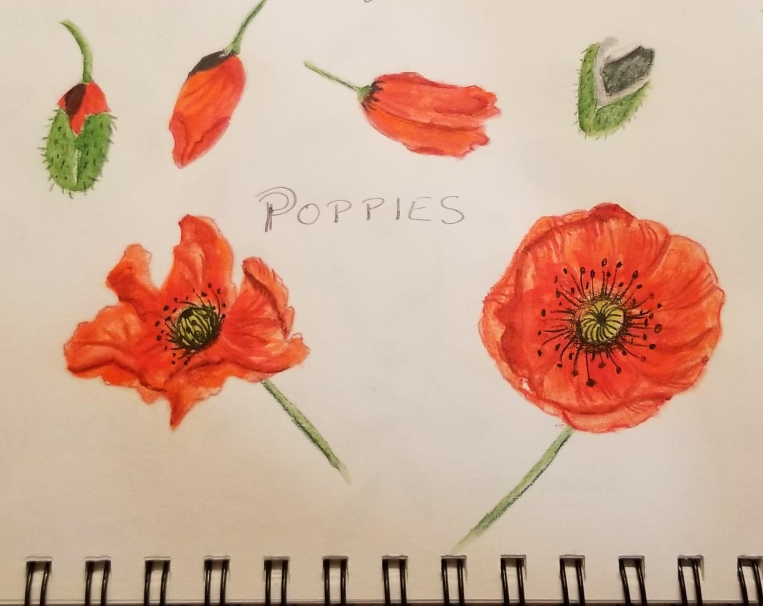 Loose but Precise - image 1 - student project