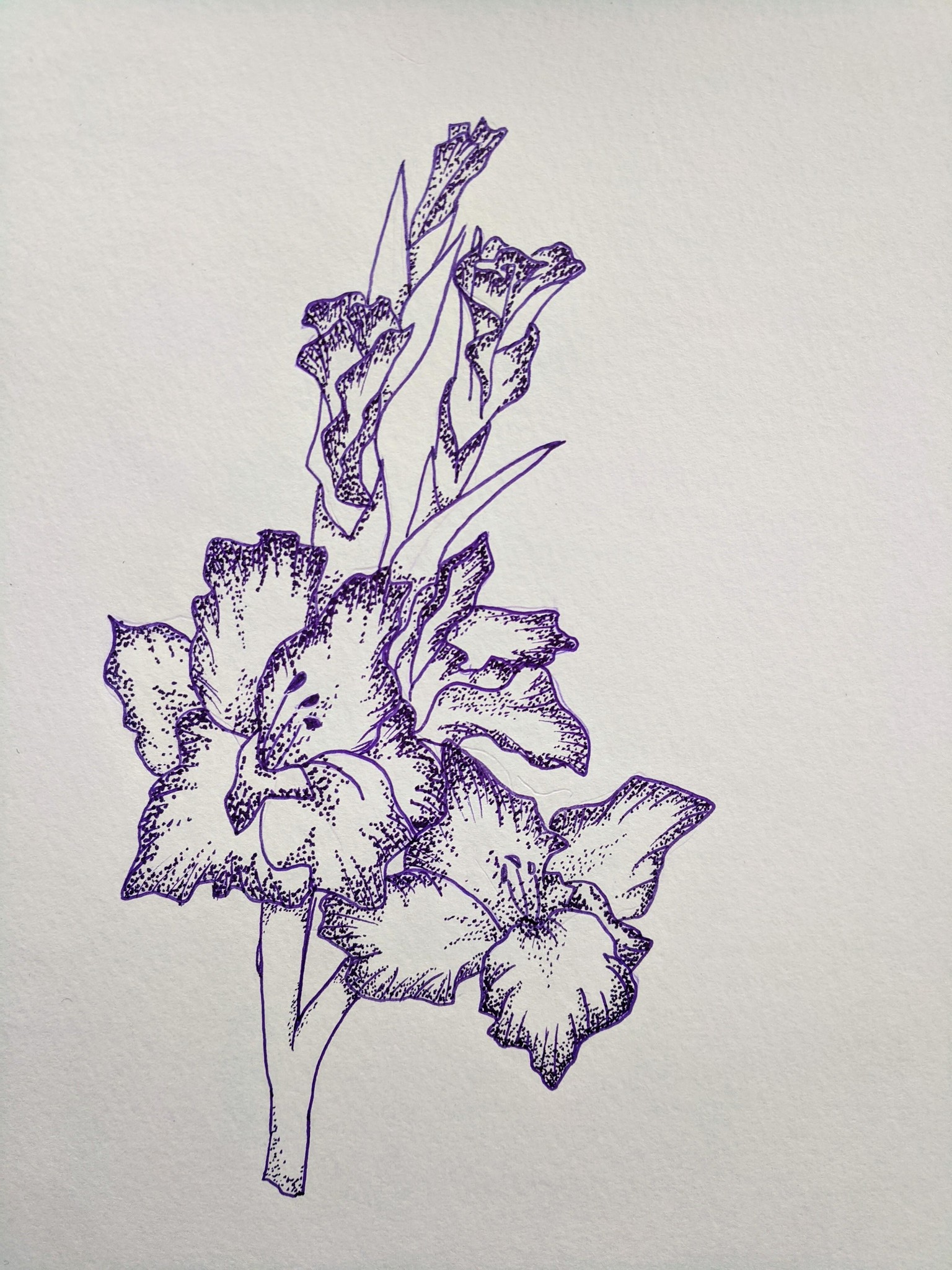 Dotwork Flowers! - image 1 - student project