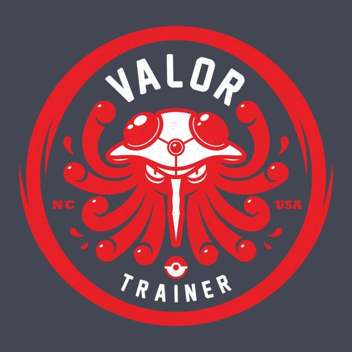 Team Valor - Tentacruel - image 4 - student project