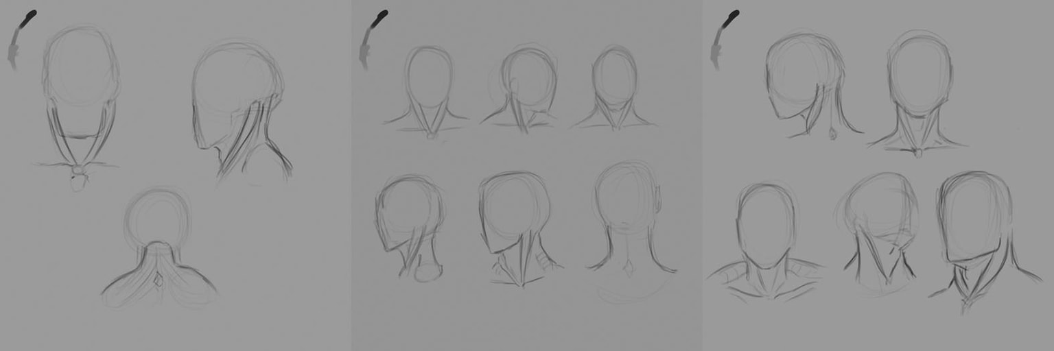 Anatomy practice - image 5 - student project
