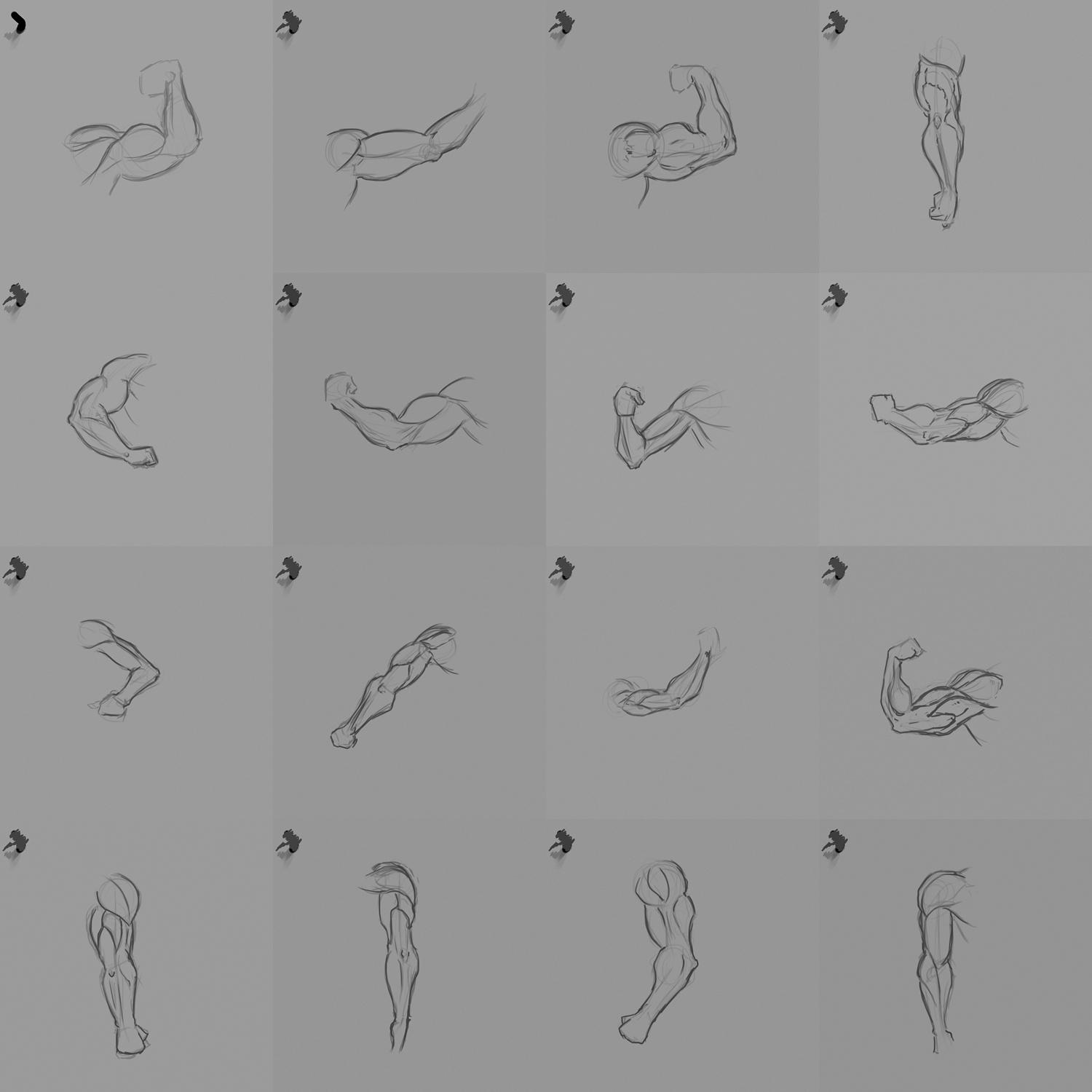 Anatomy practice - image 7 - student project