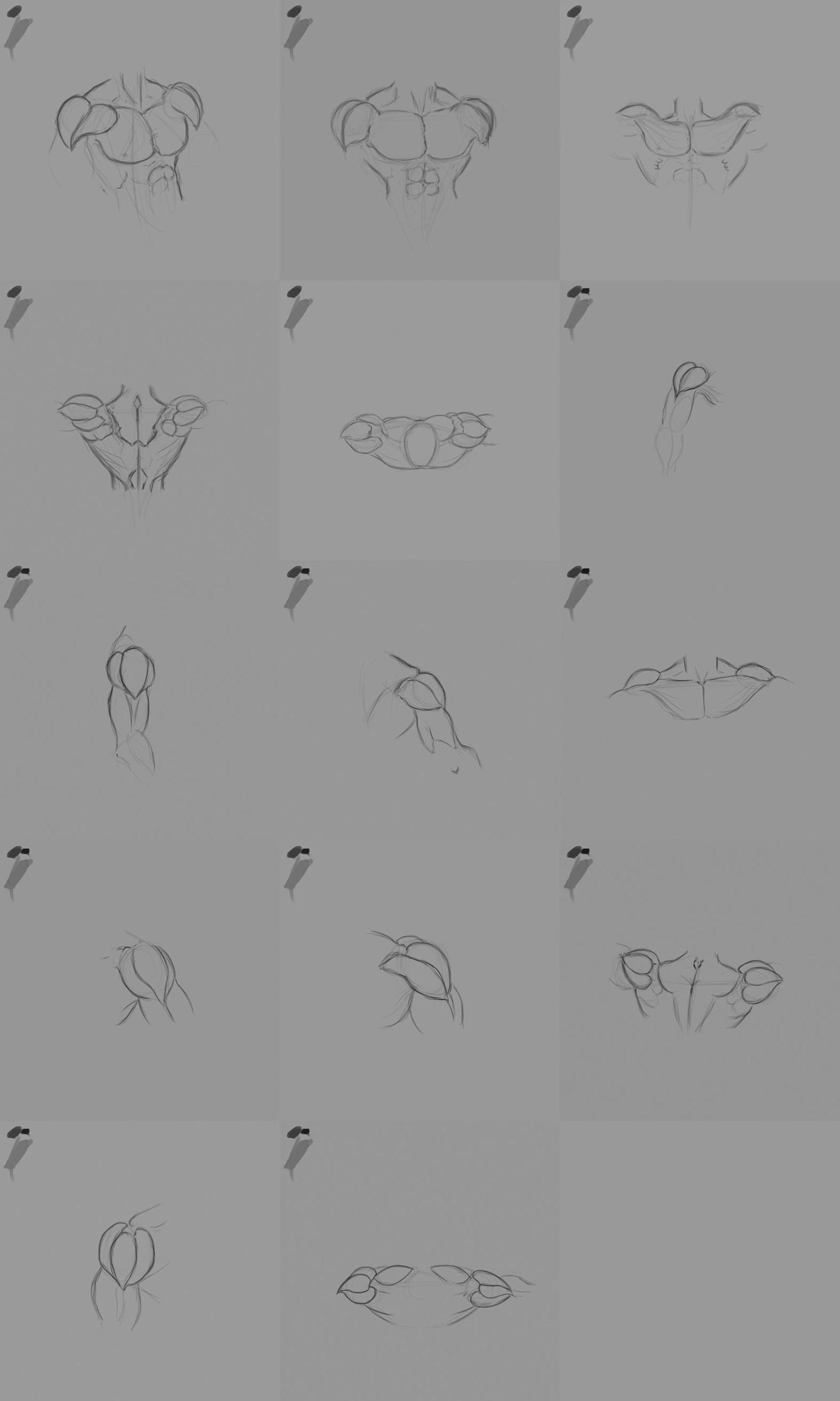 Anatomy practice - image 6 - student project
