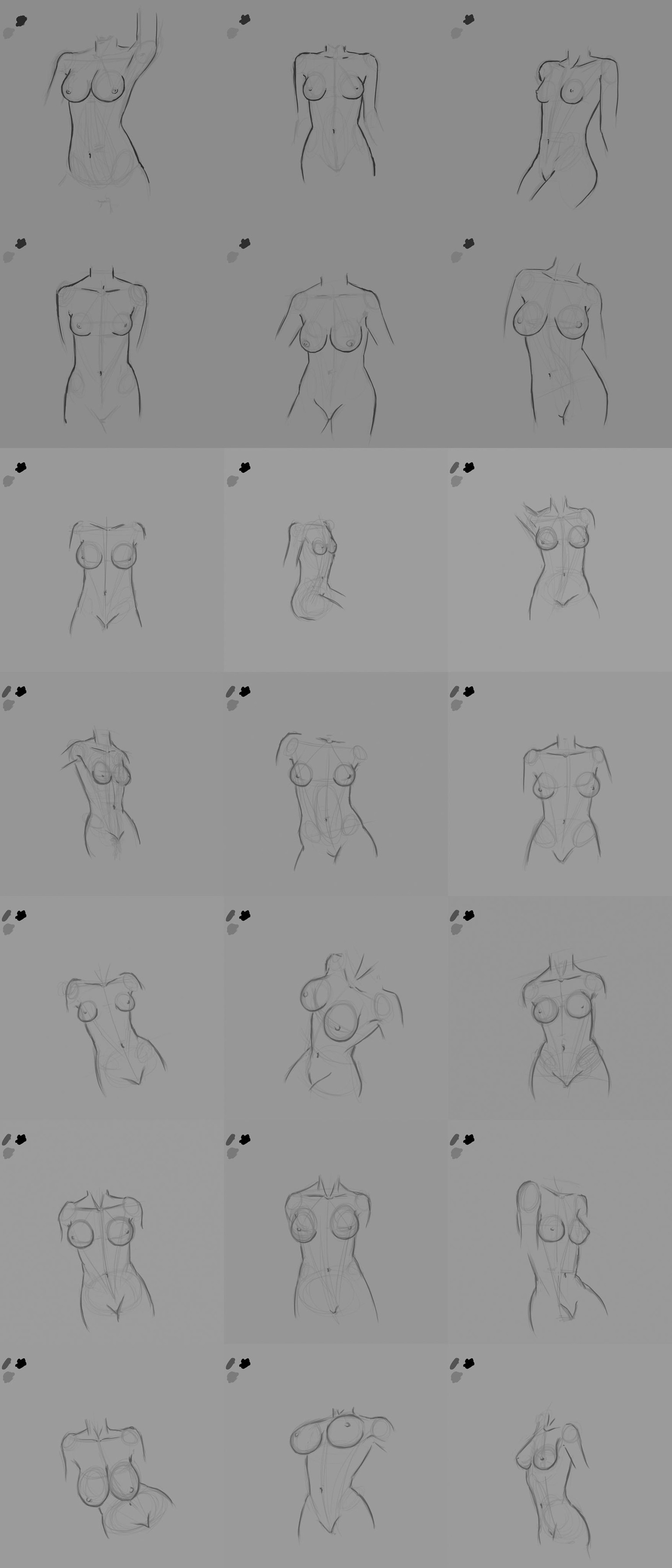 Anatomy practice - image 3 - student project