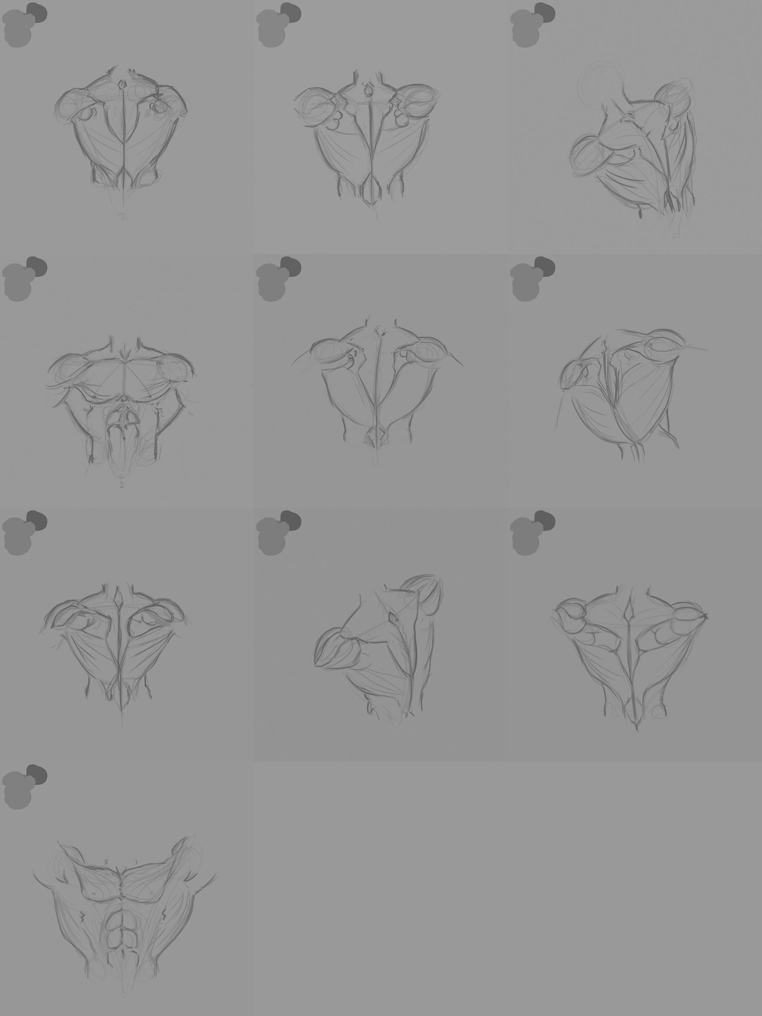 Anatomy practice - image 4 - student project