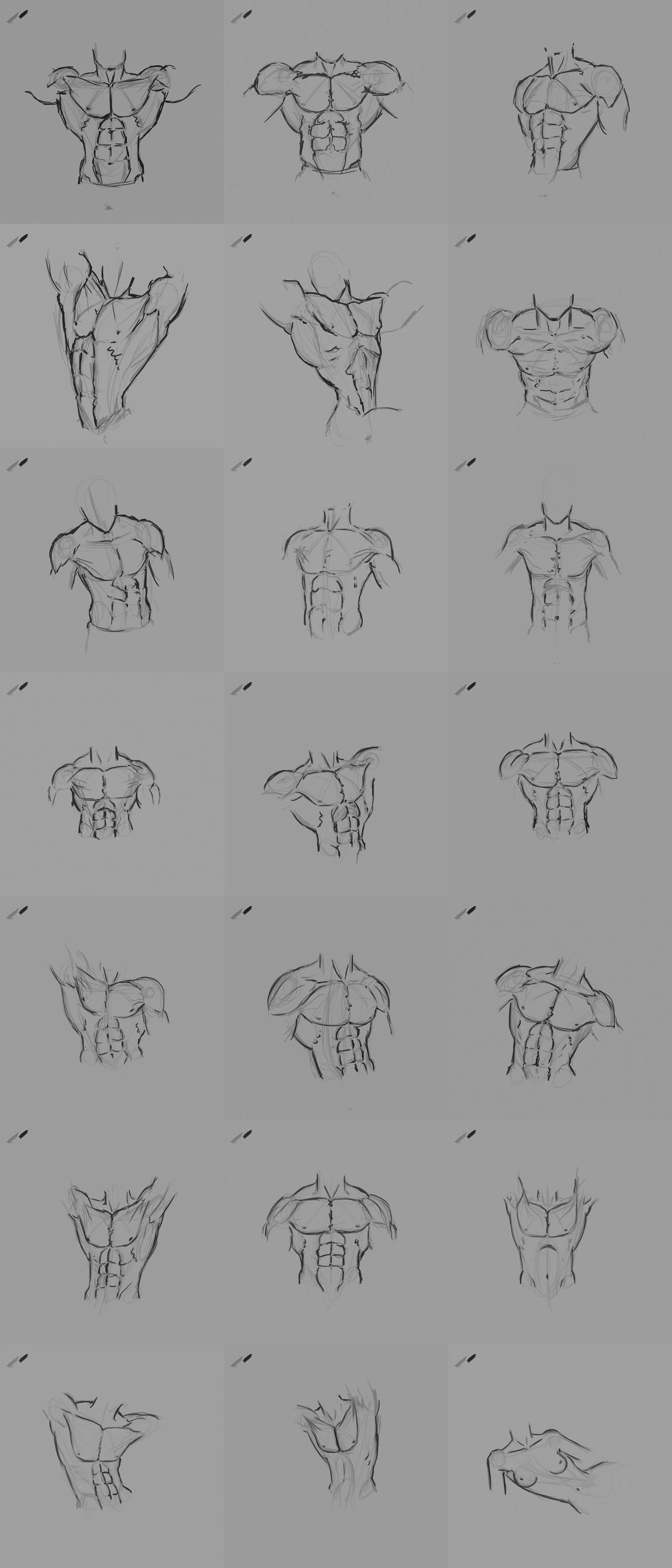 Anatomy practice - image 2 - student project