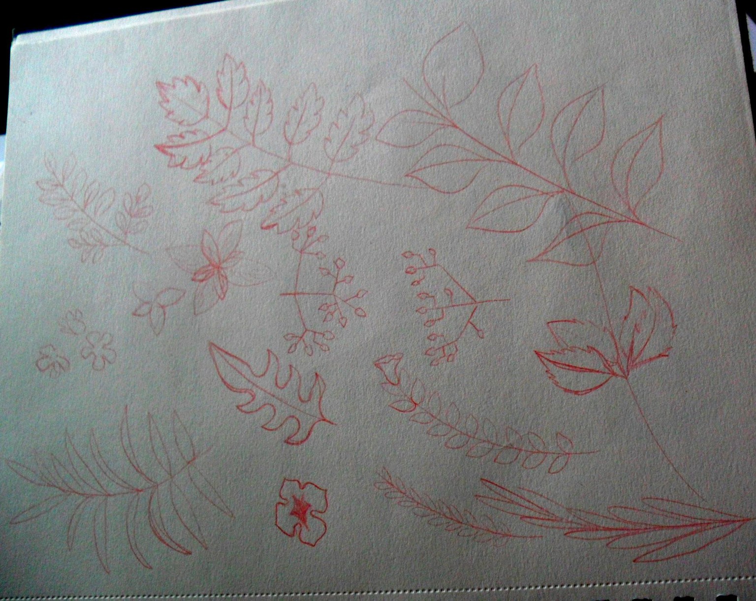 floral fox - image 1 - student project