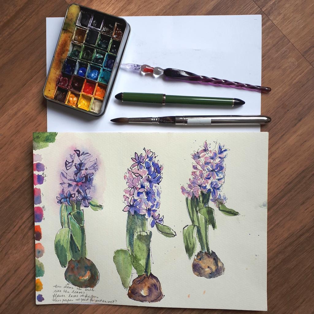 Hyacinth - image 2 - student project
