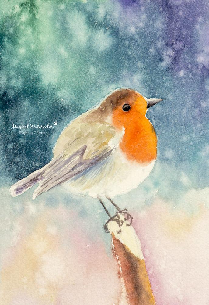 Watercolor Robin Birds, Easy - Intermediate - Advanced - image 1 - student project