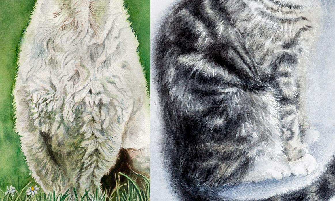 Hair, Fur and Down In Watercolor - Fluffy Duckling - image 4 - student project