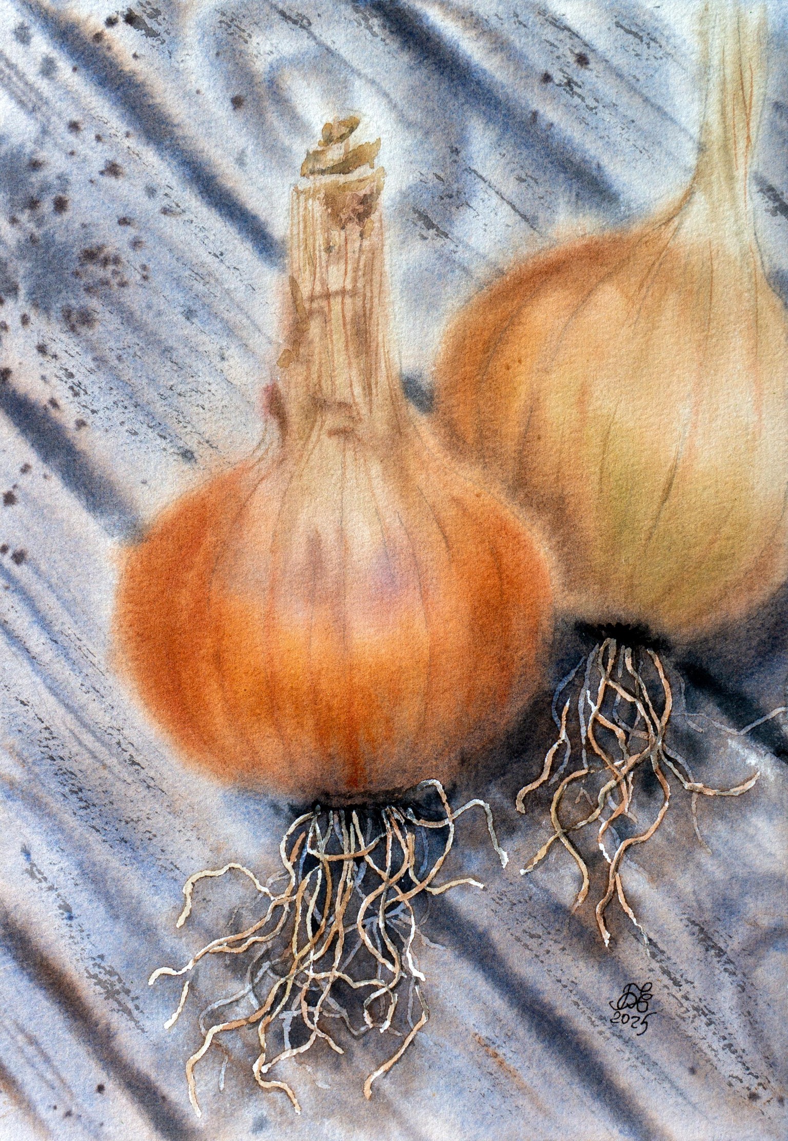 Watercolor Onions - image 1 - student project