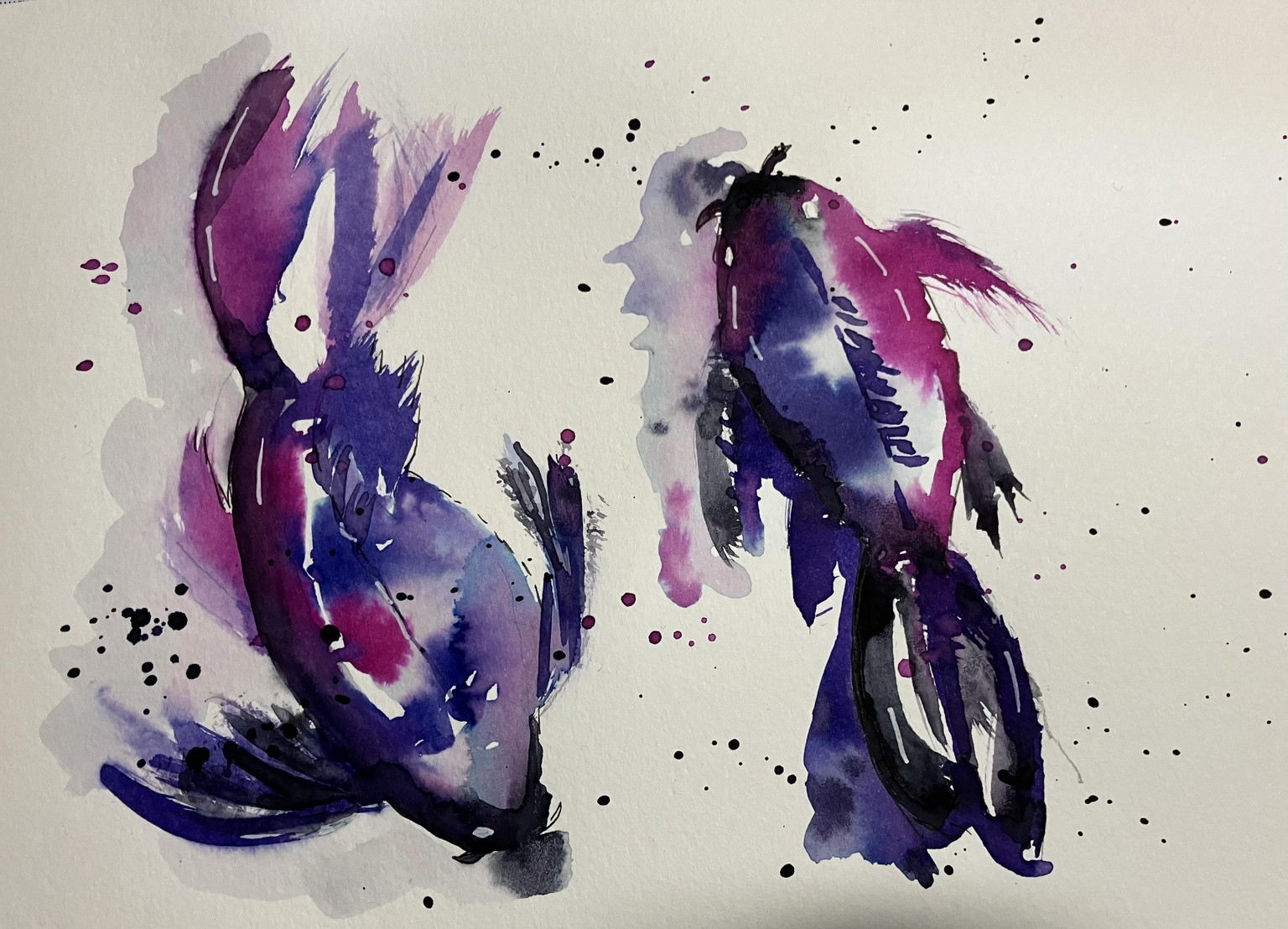 Kool Koi - image 1 - student project