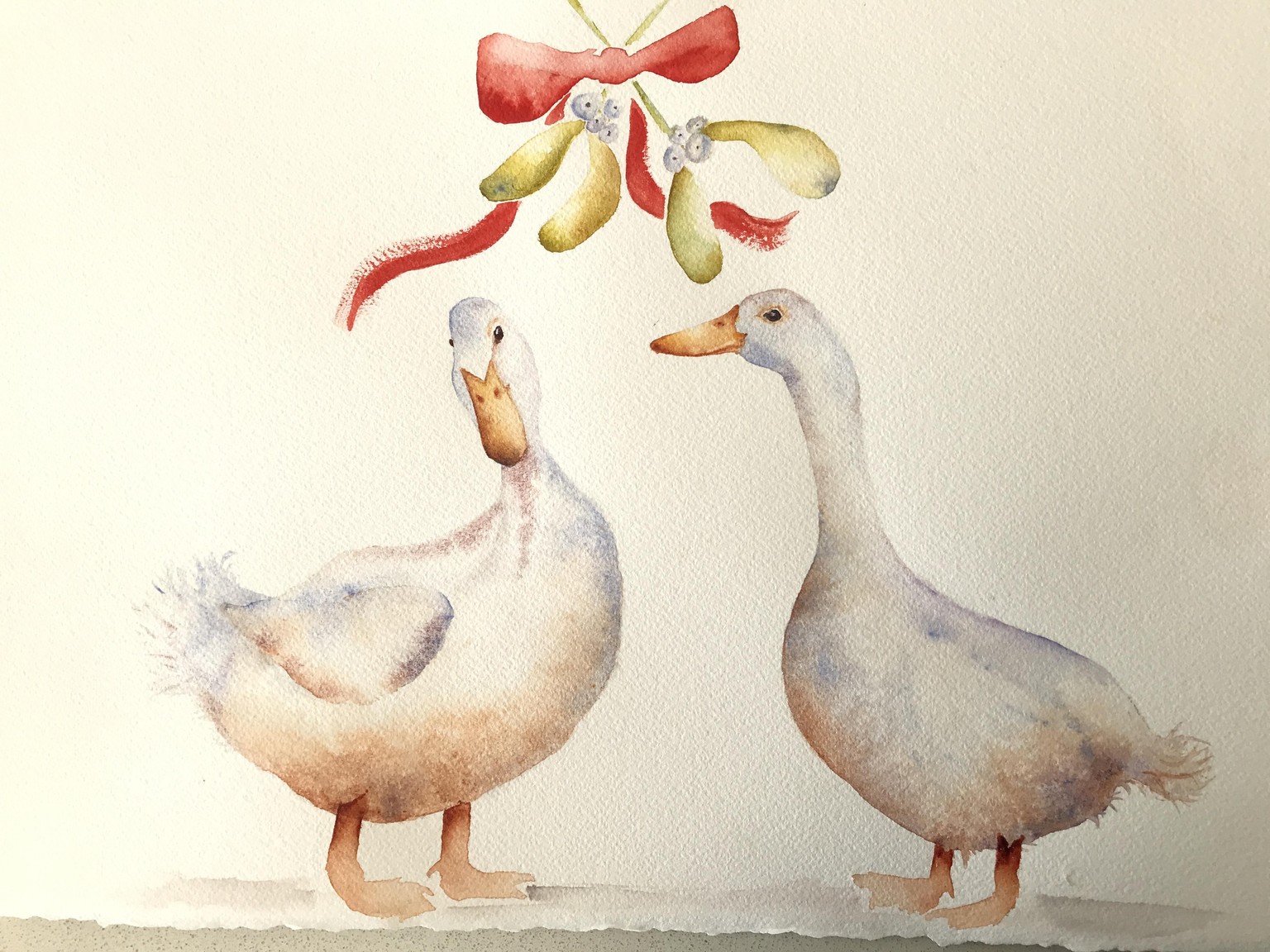 Festive ducks free flow - image 1 - student project